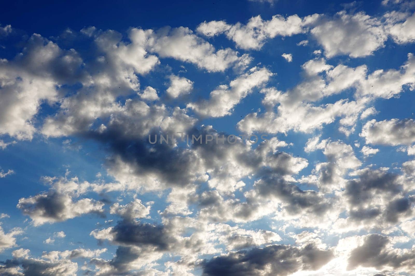 Schönwetterwolken kurz vor Sonnenuntergang