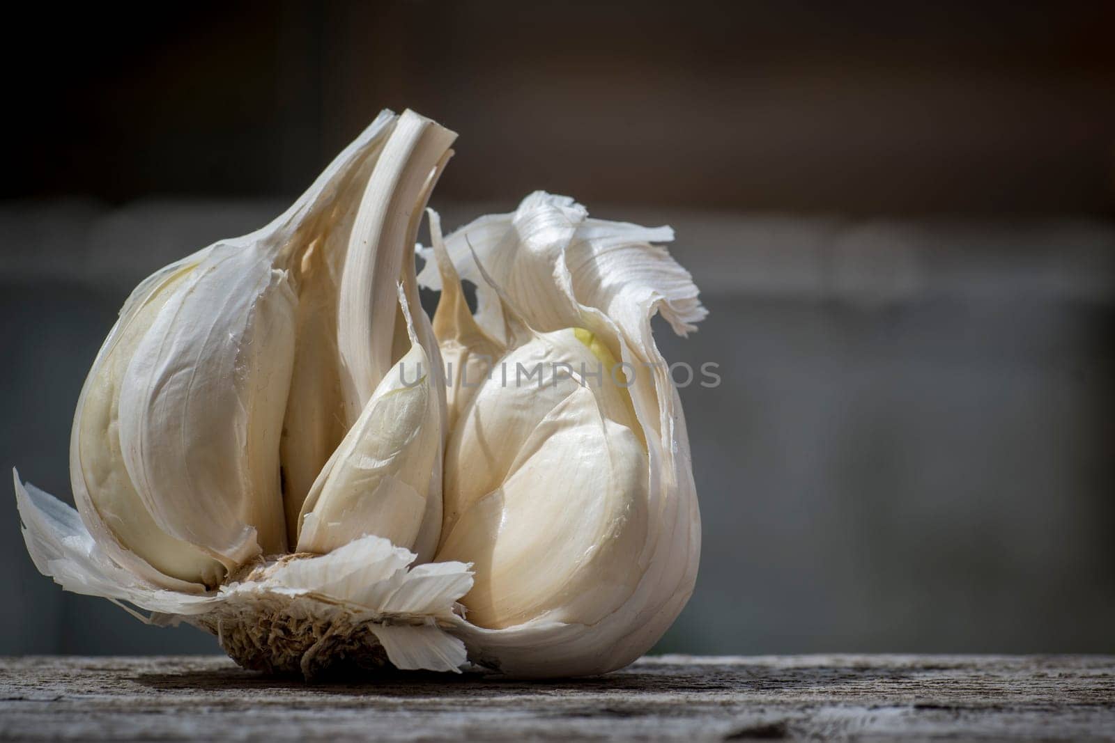 Close-up of Garlic, Allium sativum, used for food flavoring
