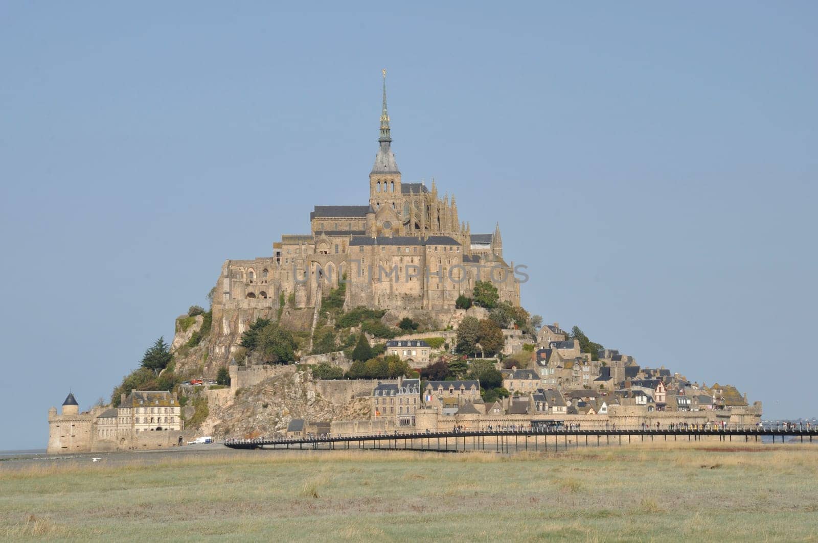 Mont Saint Michel and salt marshes