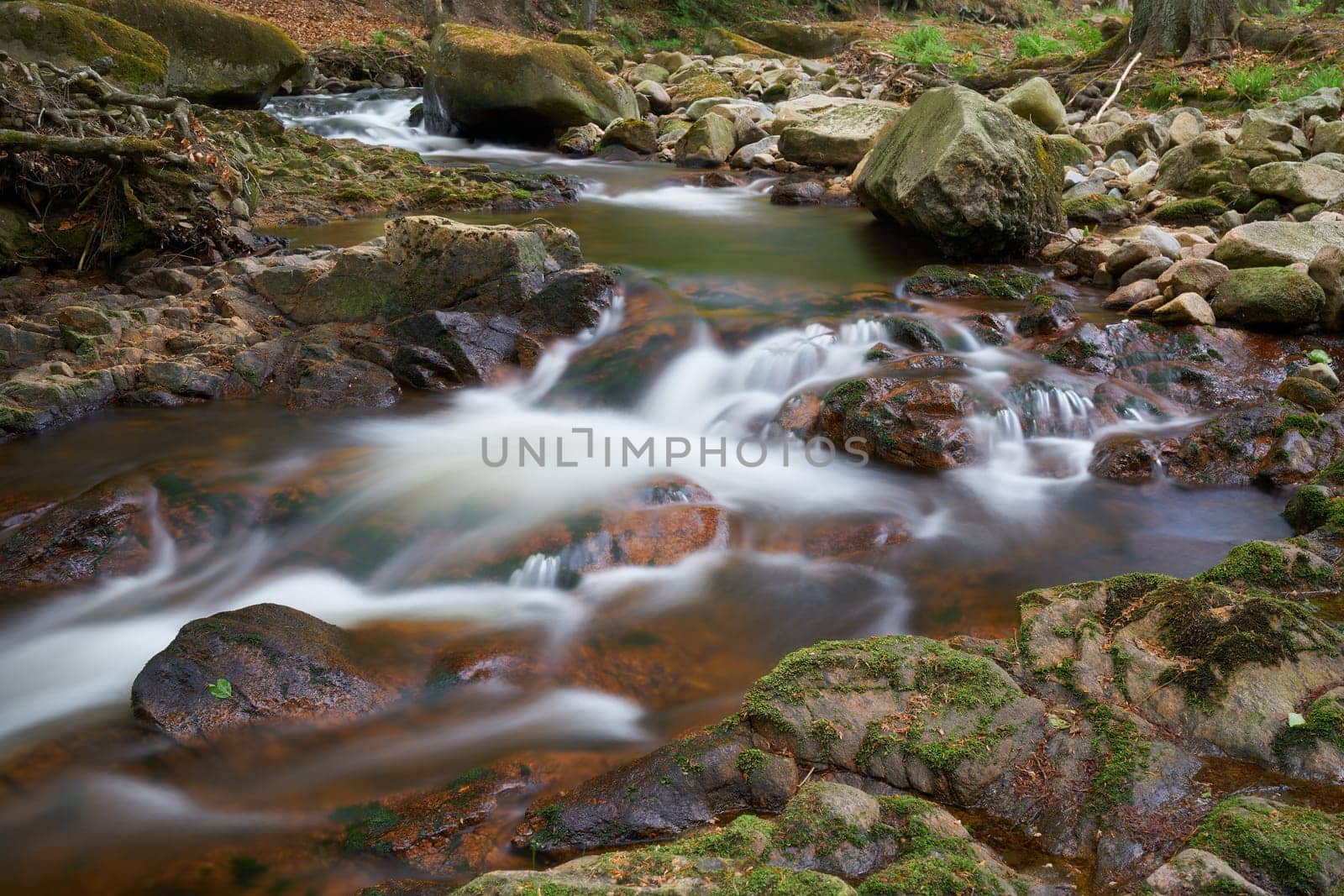 the romantic river Ilse near Ilsenburg at the foot of the Brocken in the Harz National Park in Germany