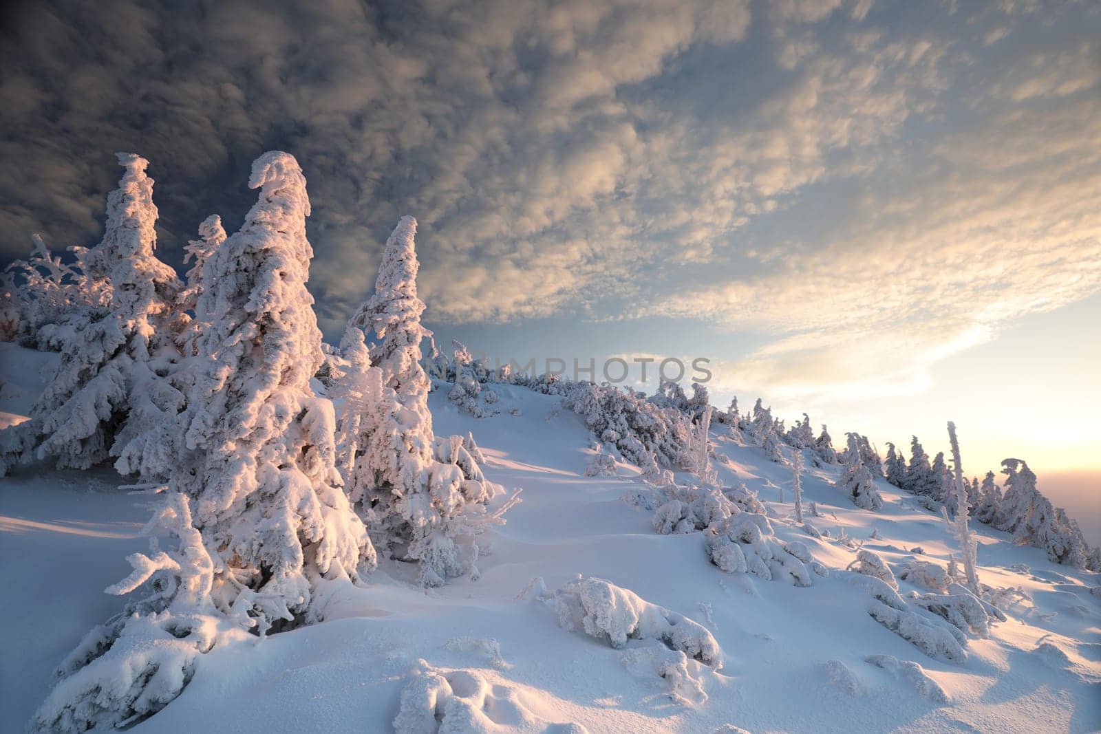 Winter scenery of the Sudetes Mountains on the Polish-Czech border during sunrise