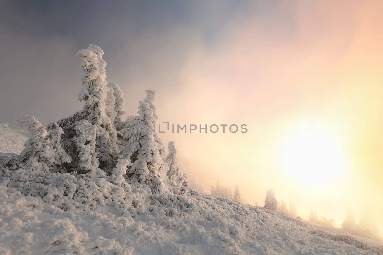 Winter scenery of the Sudetes Mountains on the Polish-Czech border during sunrise