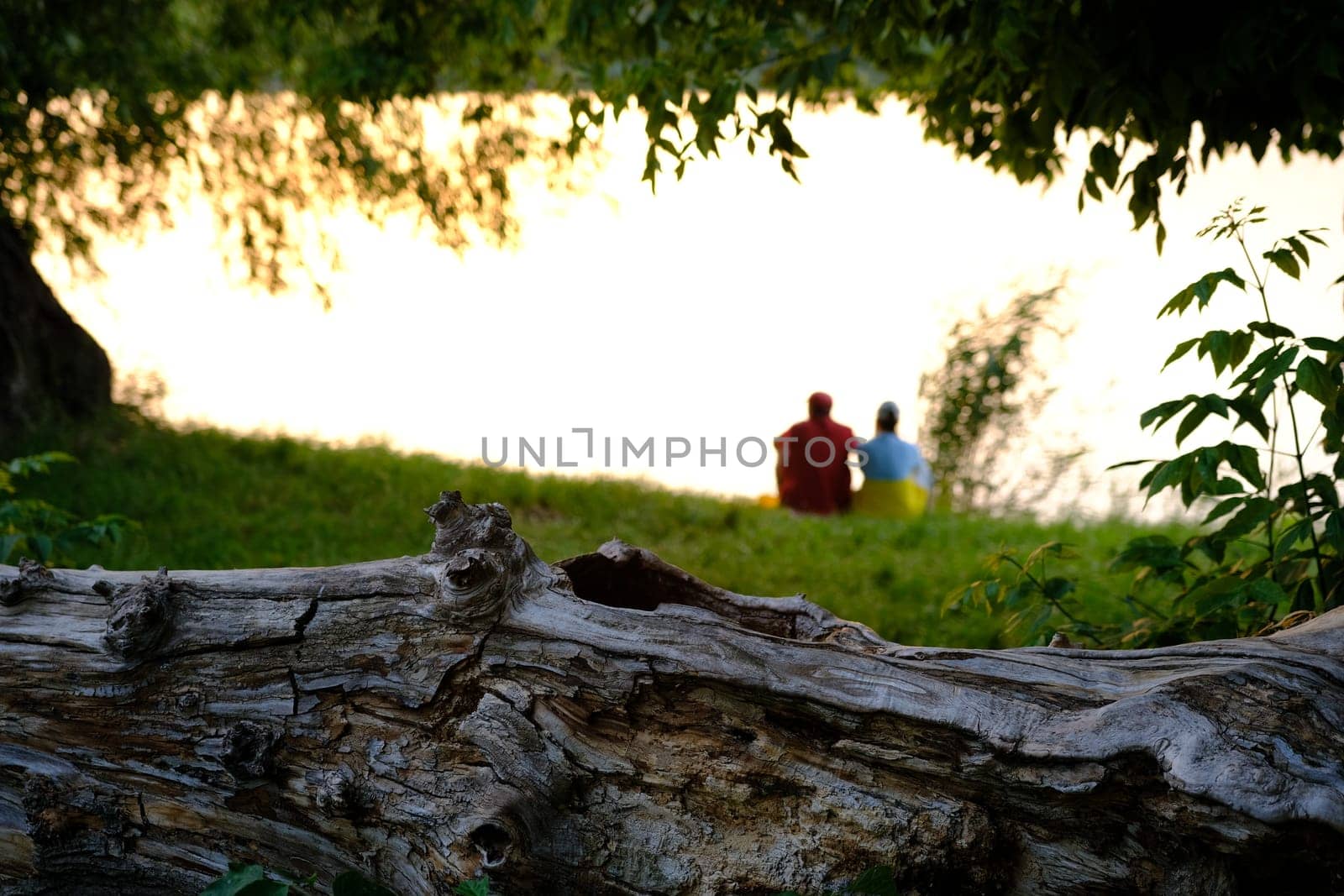 Happy senior couple sitting in summer near lake during sunset.