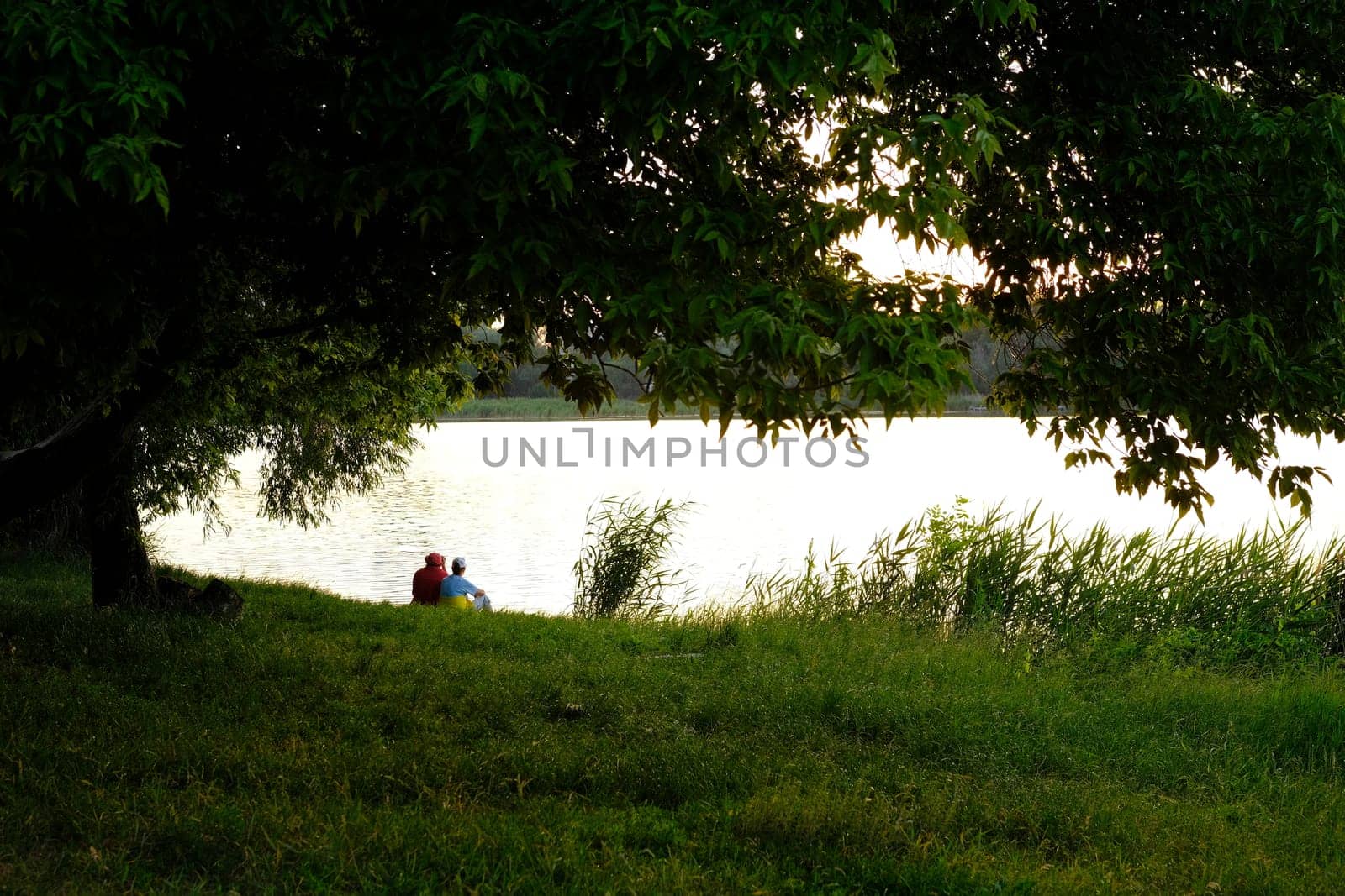 Happy senior couple sitting in summer near lake during sunset.