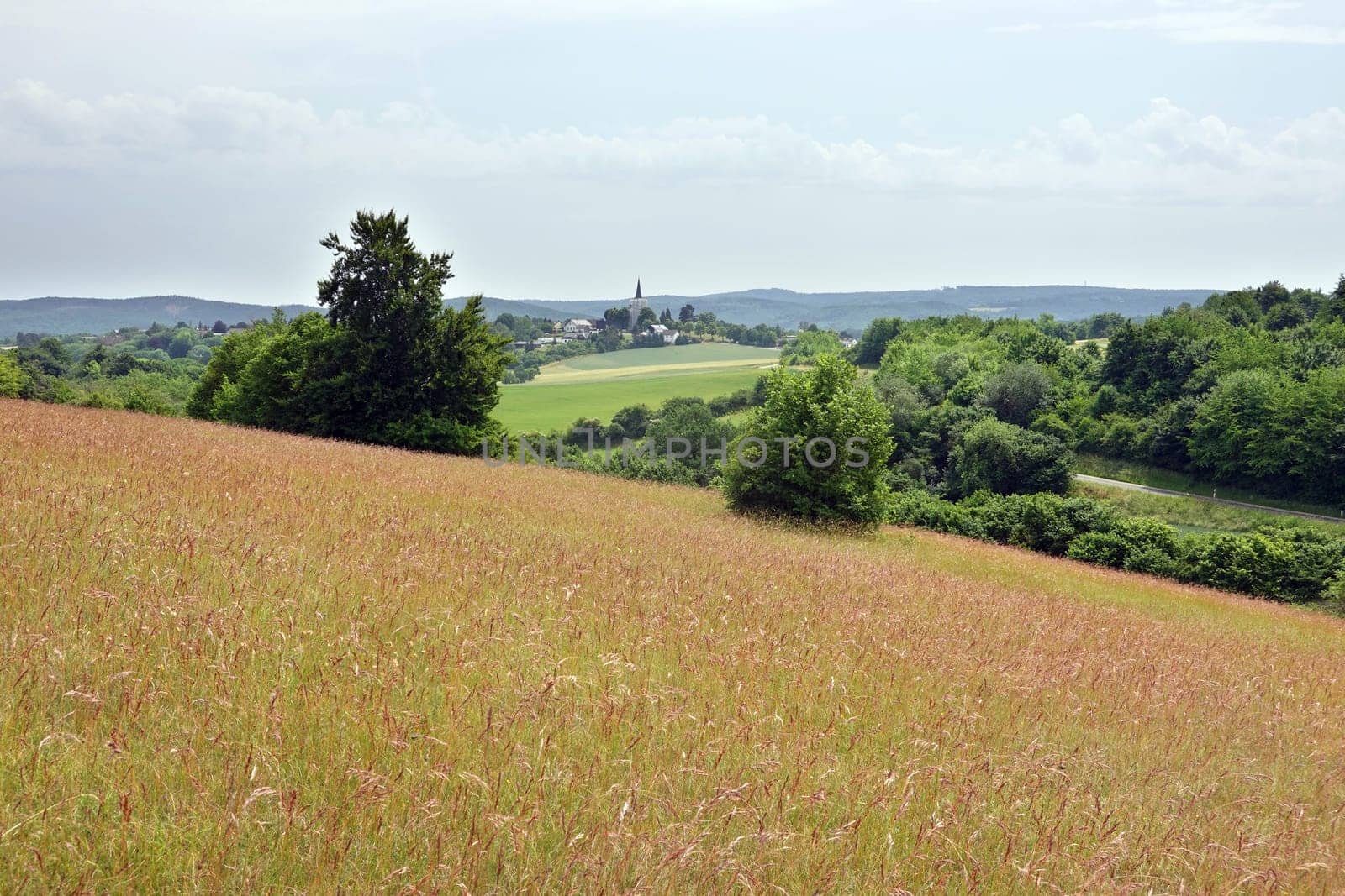 Naturschutzgebiet Kuttenberg - Blick auf Eschweiler, Nordrhein-Westfalen, Deutschland, Bad Münstereifel