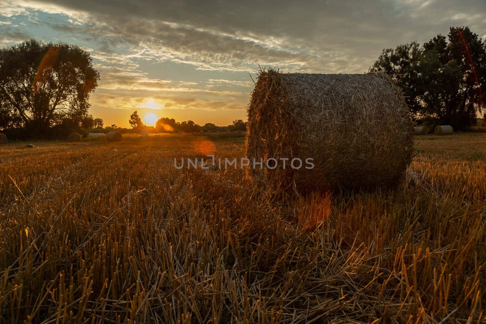 Hay bale in the field and sunset, Nowiny, Poland