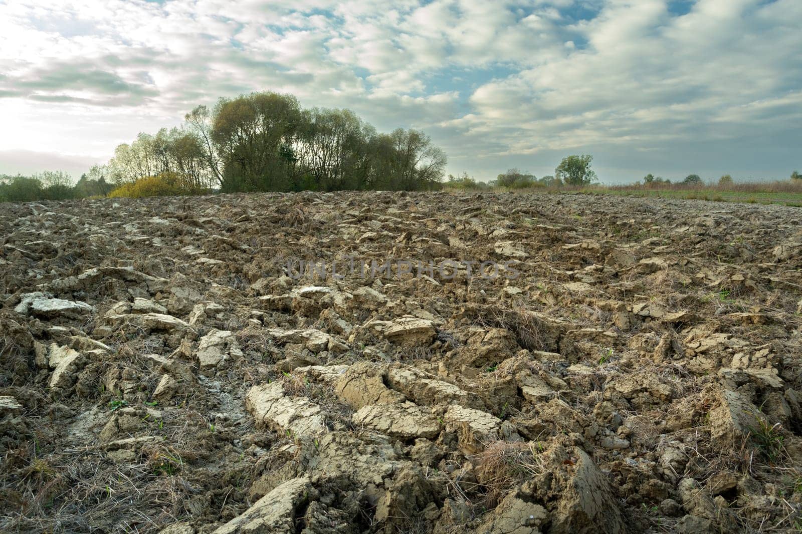 Plowed ground in the field and the evening sky, Zarzecze, Poland