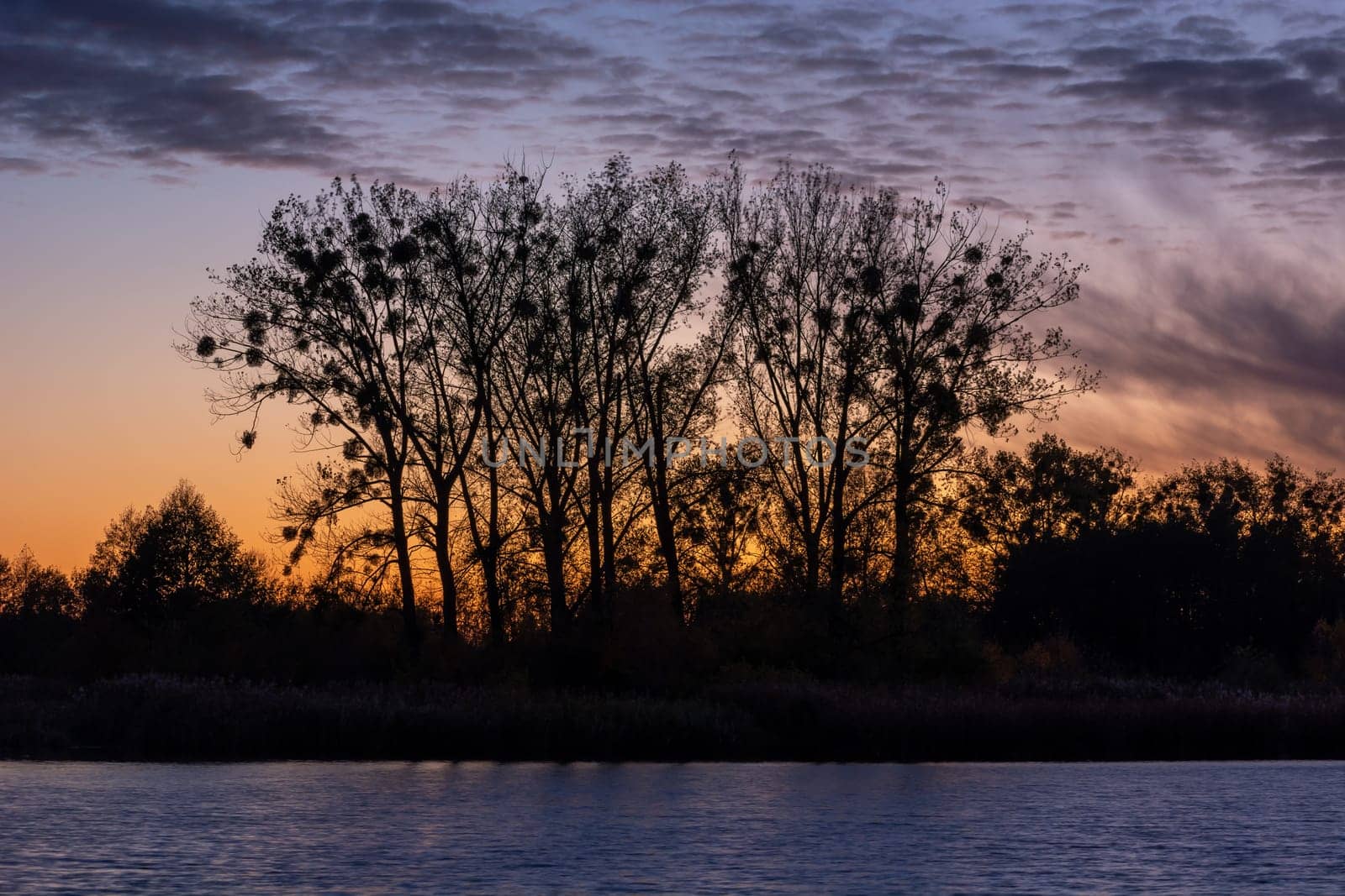 Tall trees above the water and clouds after sunset, Stankow, Poland
