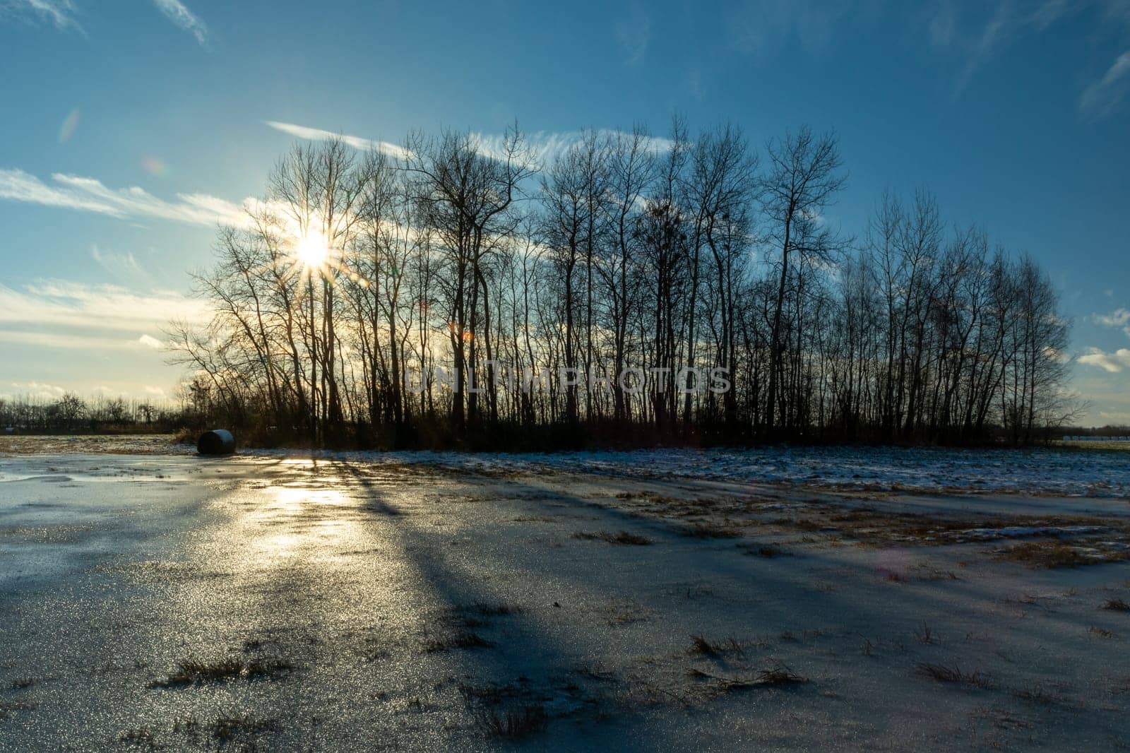 Frozen water in the meadow and the sun behind the trees, Nowiny, Poland