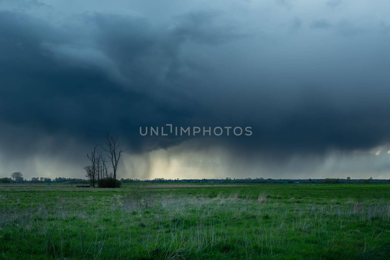 Cloud with rain over the meadow and lonely trees, Czulczyce, Poland