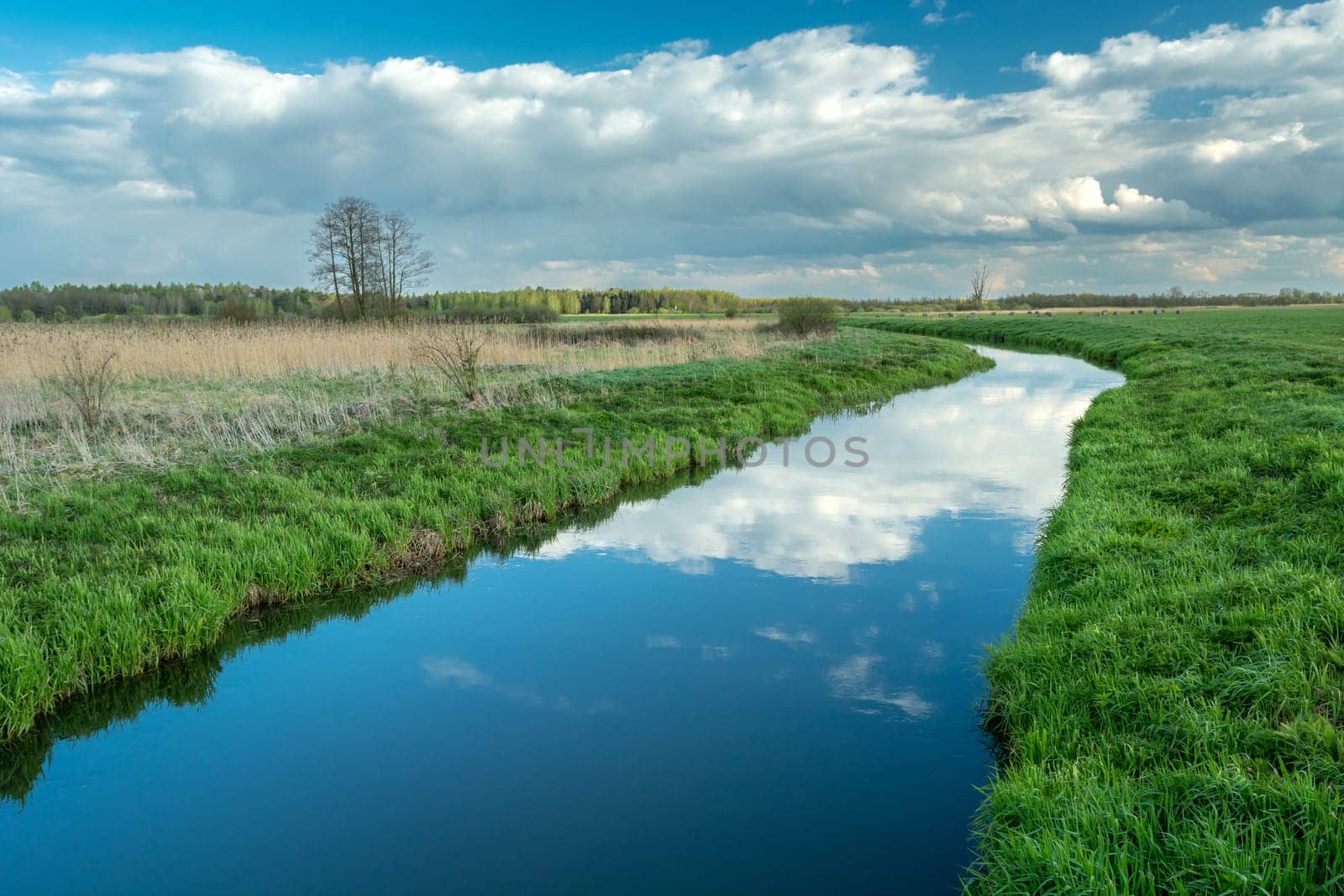 A calm little river and wild meadows, Czulczyce, Poland