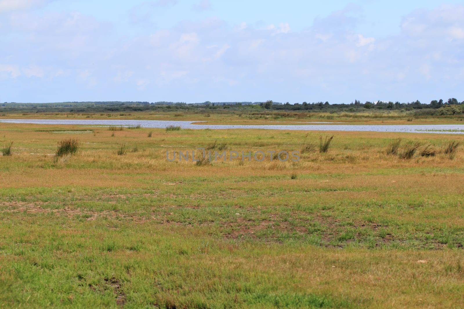 A natural landscape on the North Sea coast in the Netherlands.Eine Naturlandschaft an der Nordseeküste in den Niederlanden.