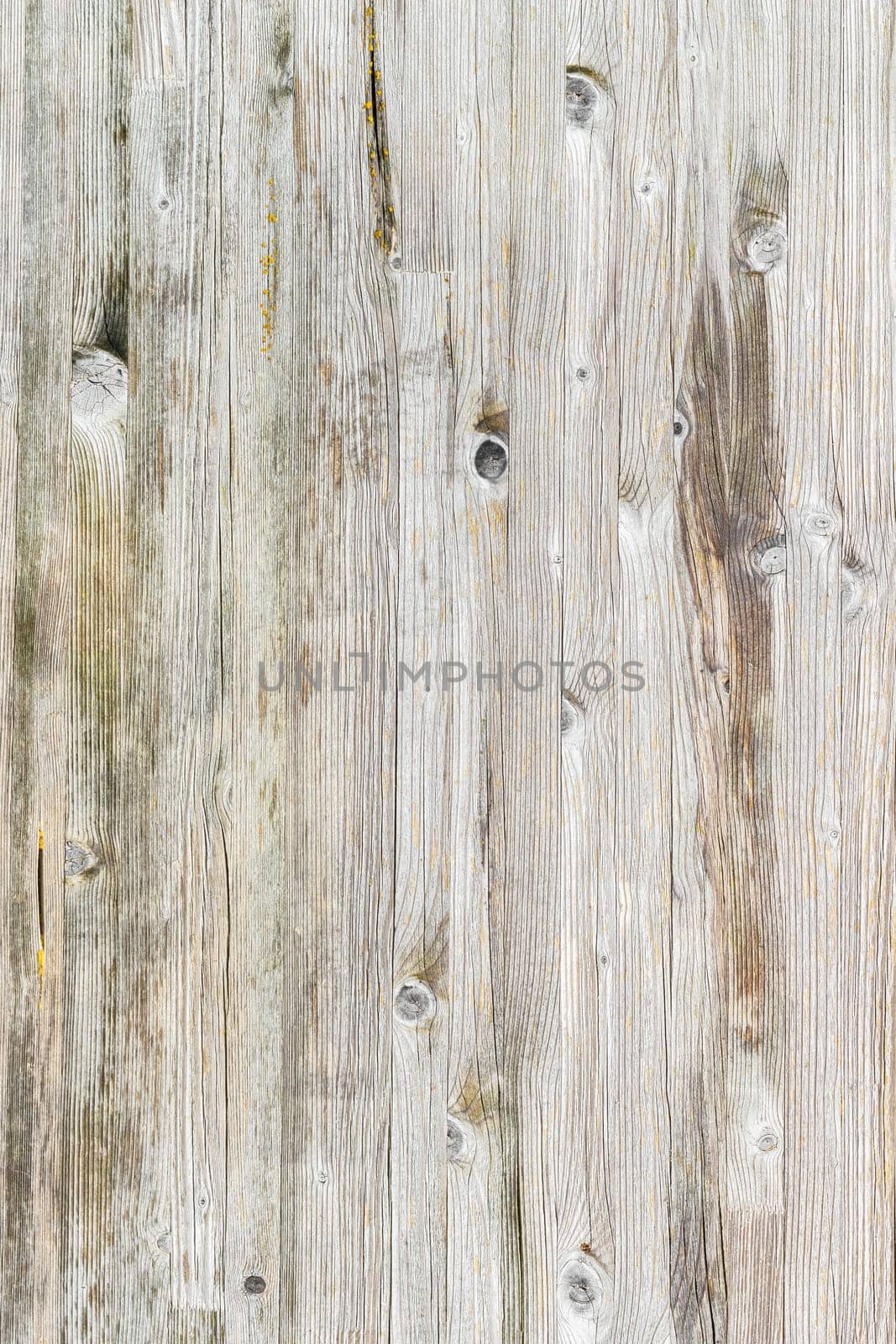 Light wood panel. Ideal for texture and background.