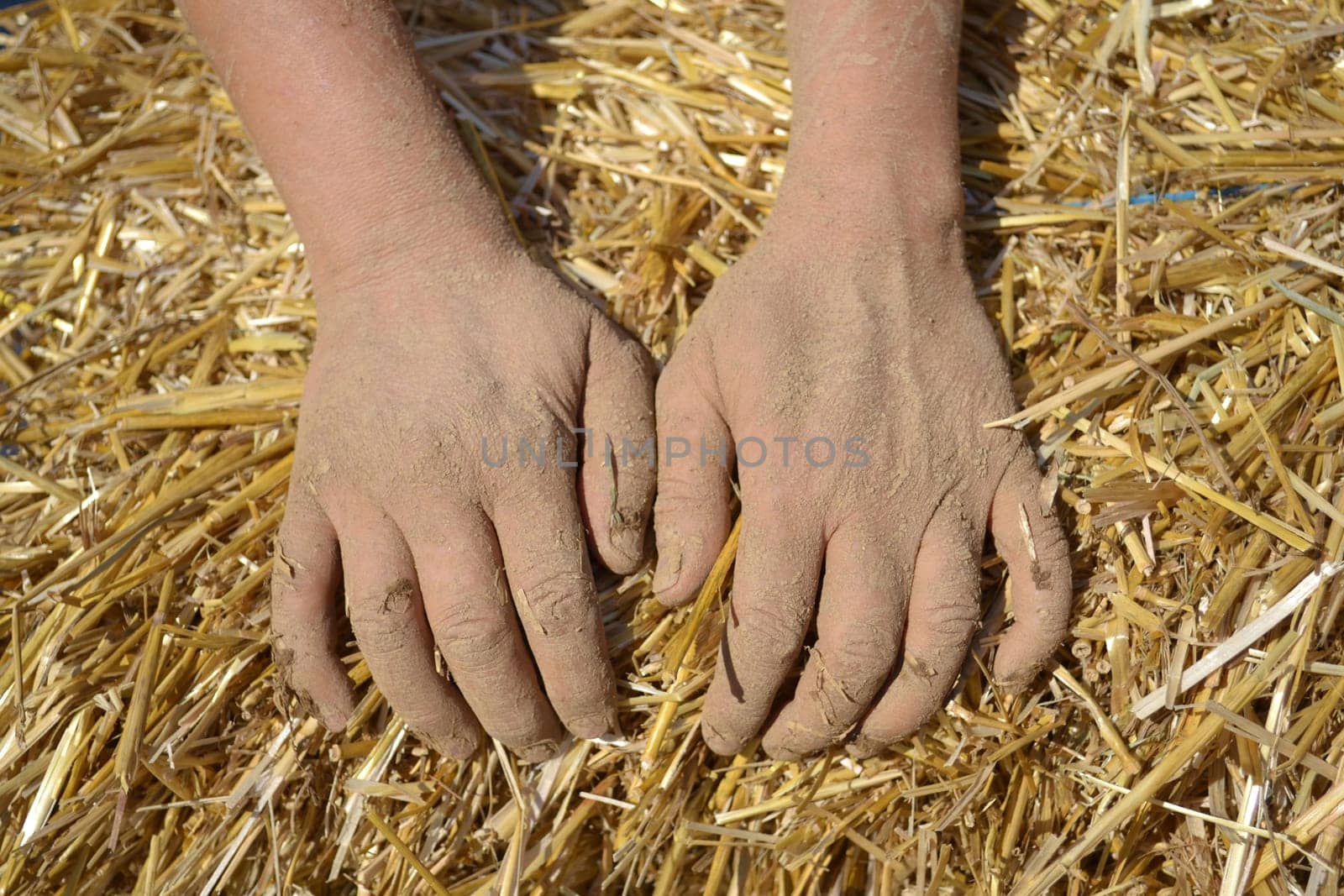 Hands of a young woman who works with clay and straw plaster. Building with natural material