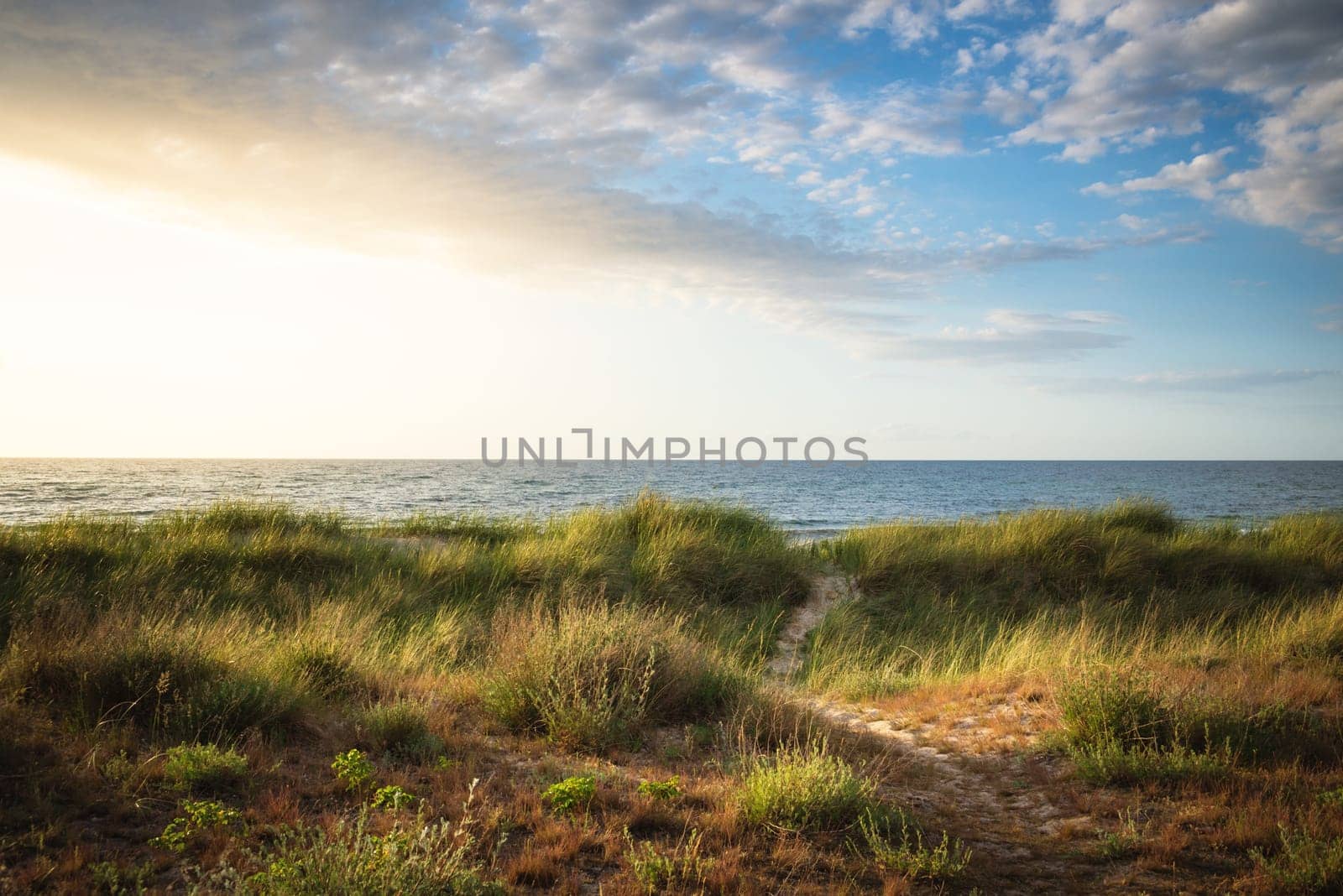 A beautiful sand dunes near the beach during sunrise