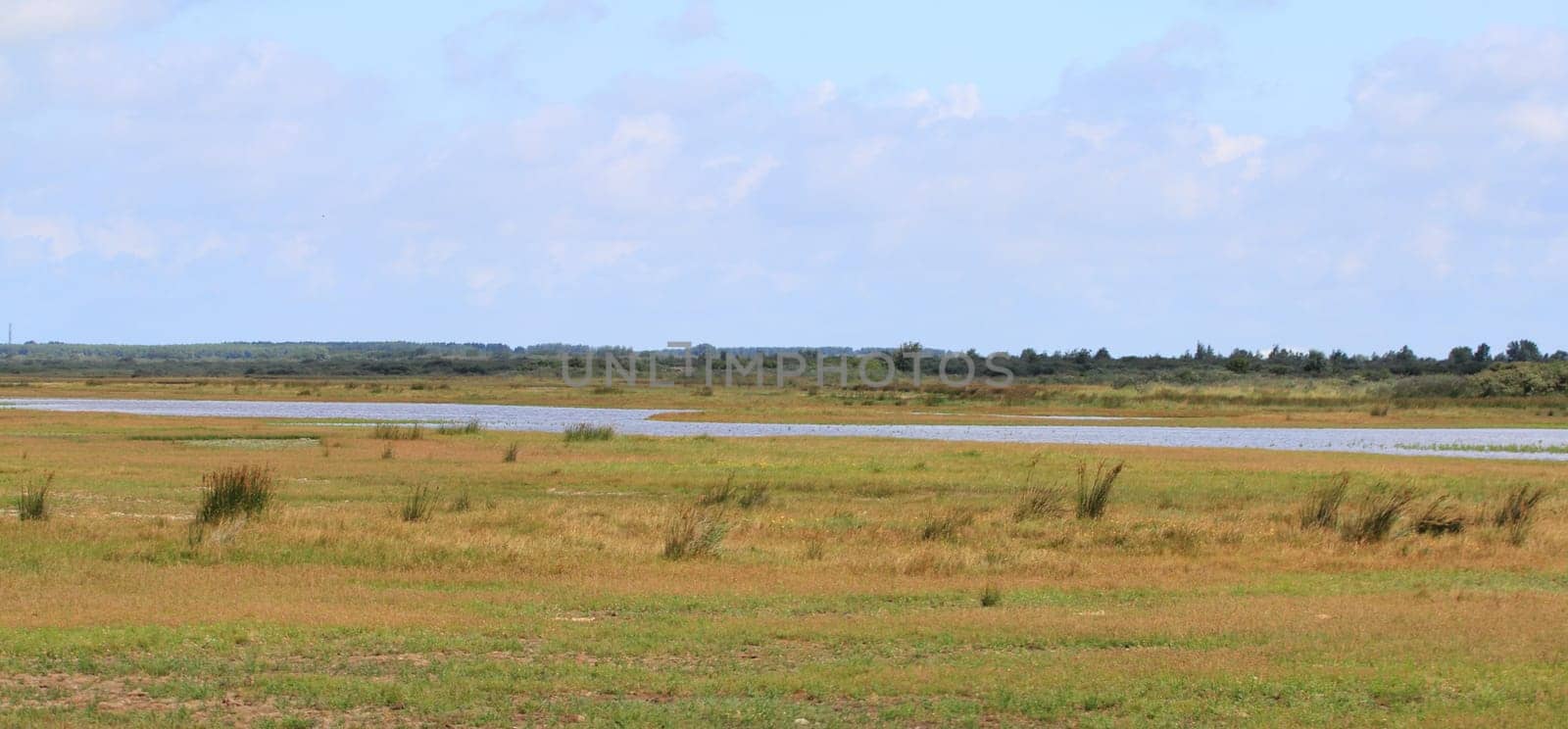 A natural landscape on the North Sea coast in the Netherlands.Eine Naturlandschaft an der Nordseeküste in den Niederlanden.