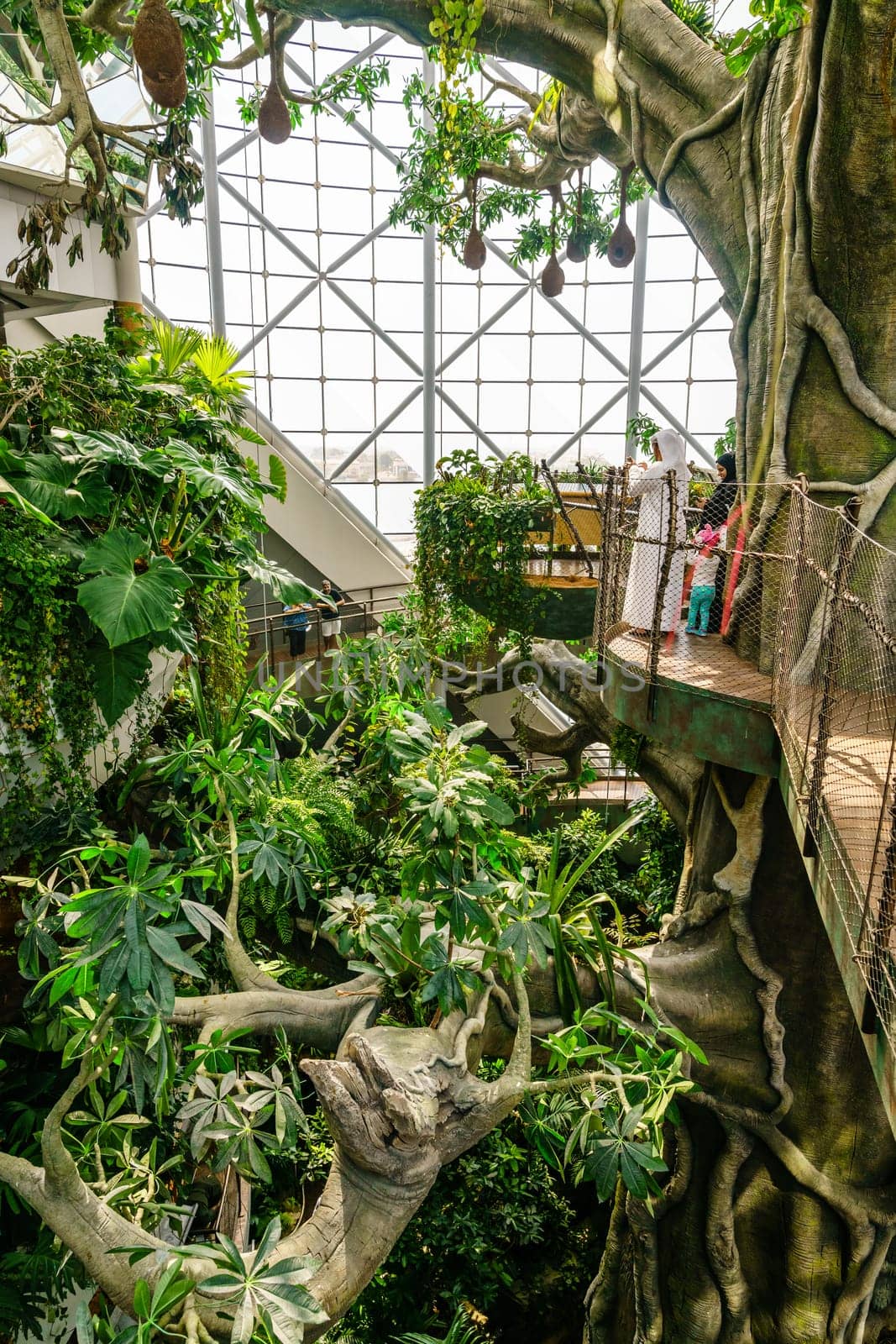 Dubai, UAE, October 8, 2016: The Green Planet Dubai - indoor rainforest environment with tropical birds, animals and plants