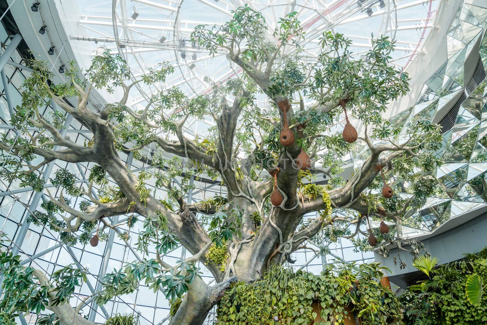Dubai, UAE, October 8, 2016: The Green Planet Dubai - indoor rainforest environment with tropical birds, animals and plants