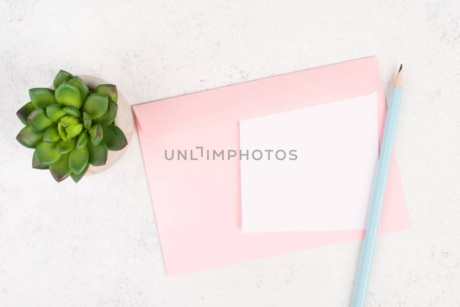 Empty paper with a pen and a cactus textured background, brainstorming for new ideas, writing a message, taking a break, home office desk