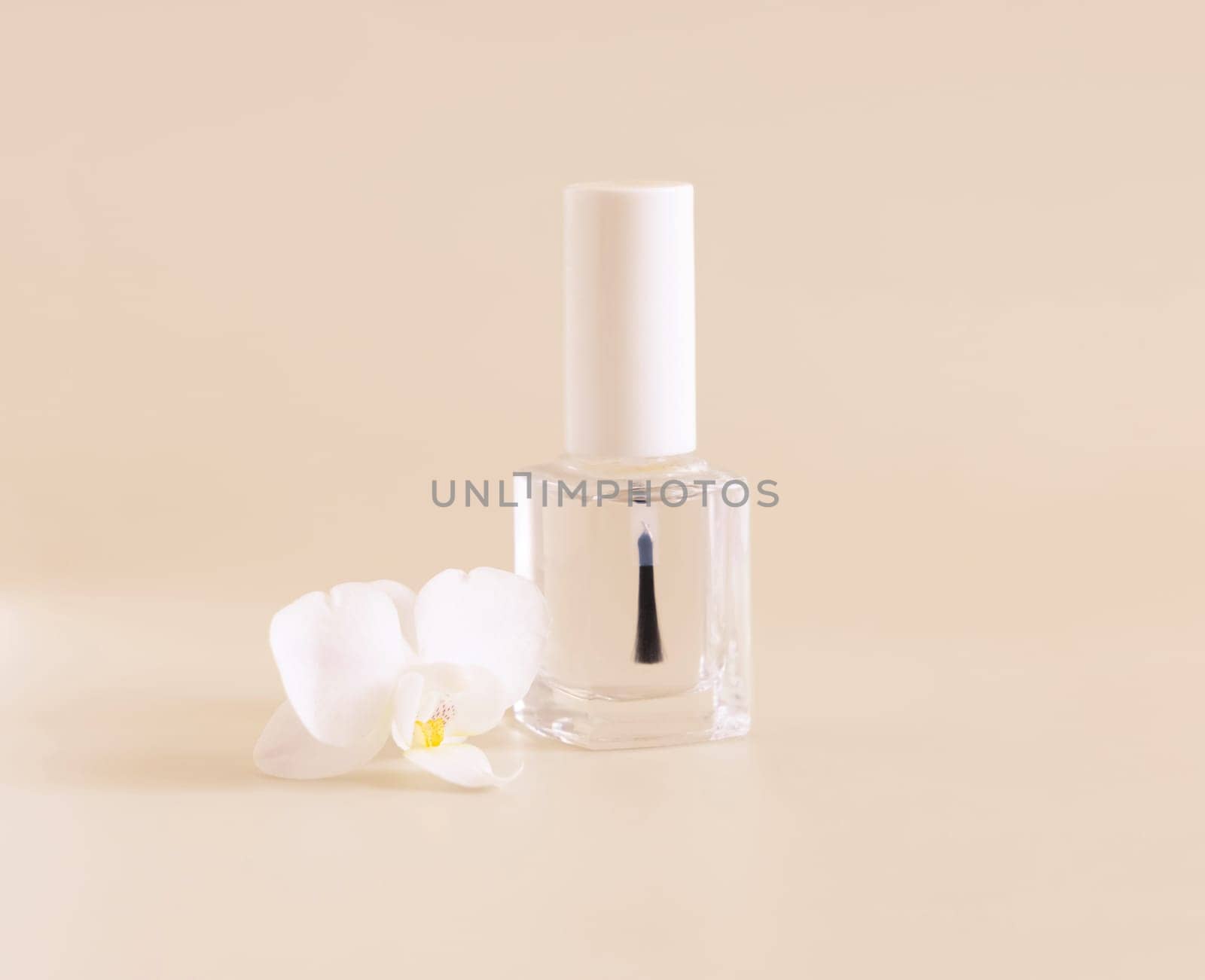 Clear Glass Refillable Bottle with Brush Cap near white orchid flower on light yellow, close up, mockup. Skincare nail product. Exotic natural cosmetics, pastel minimal composition..
