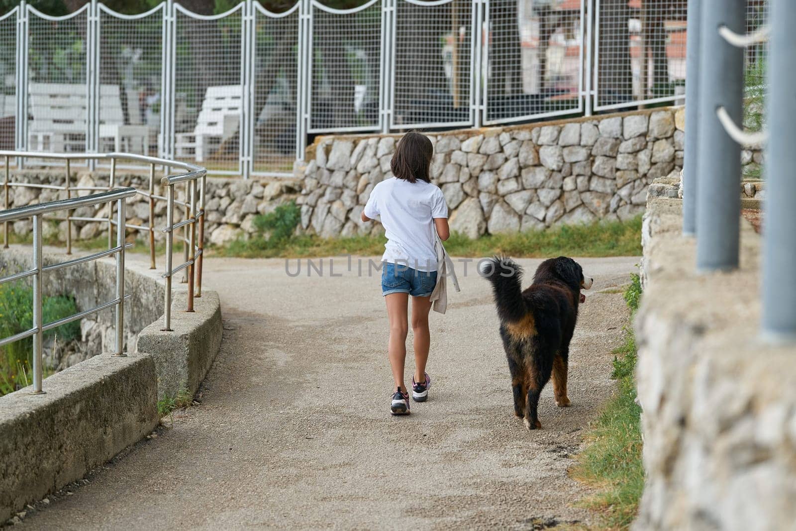 young girl walking with her dog in the morning near town Krk in Croatia