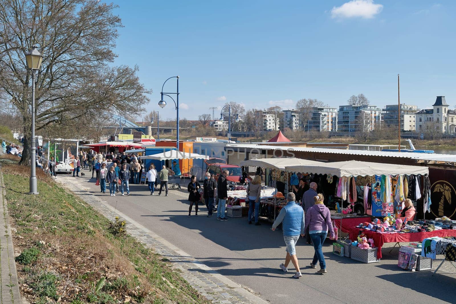 weekly market on the banks of the Elbe in Magdeburg