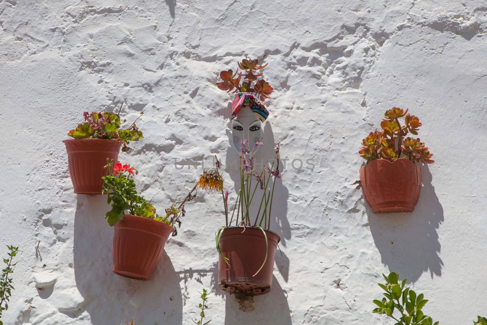 Detergent containers reused as flowerpot and attached on outdoor wall. Magacela Historical ensemble, Badajoz, Extremadura, Spain