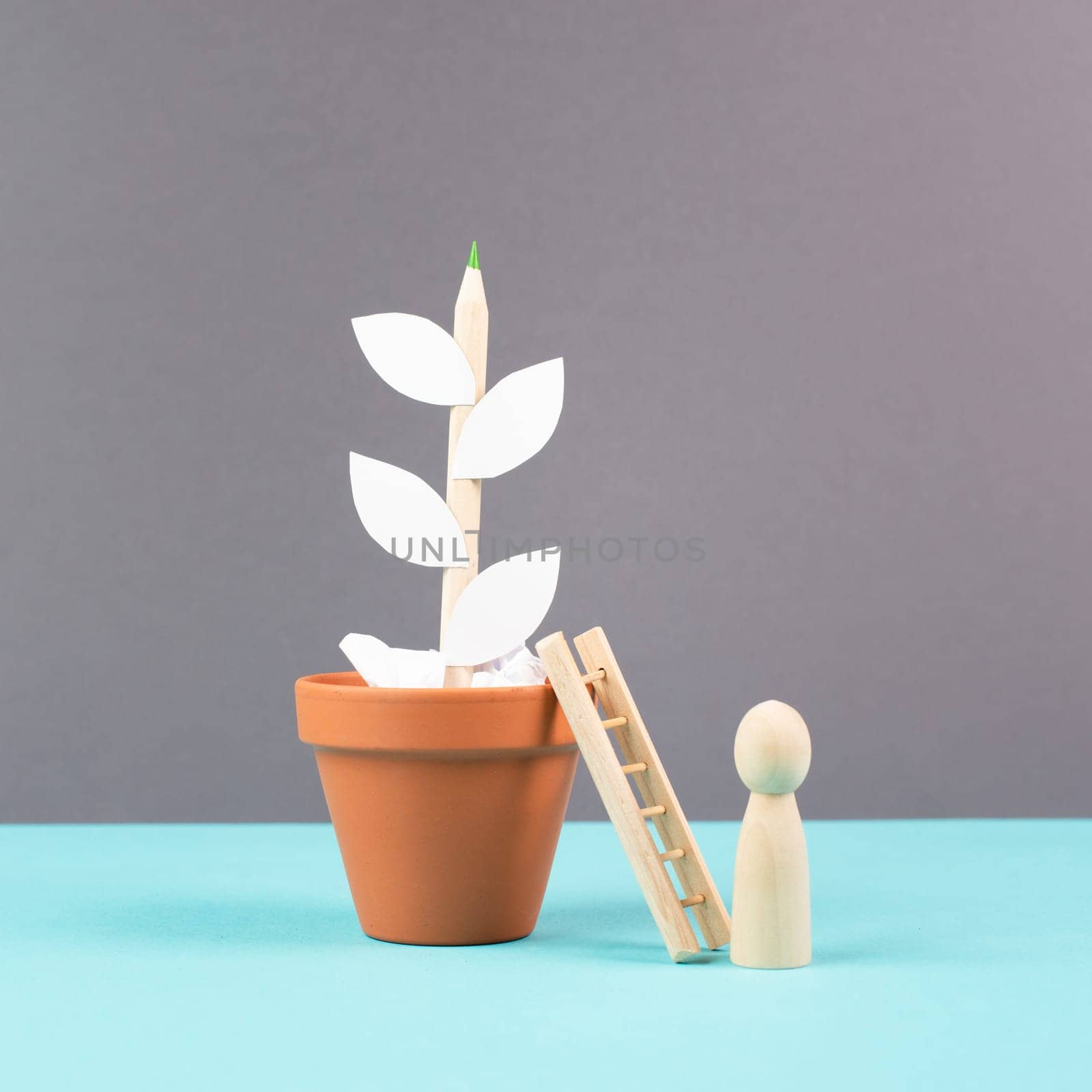 Growing a plant, having an idea, planning a strategy, teamwork for success step by step concept, progress in business and education, have a goal
