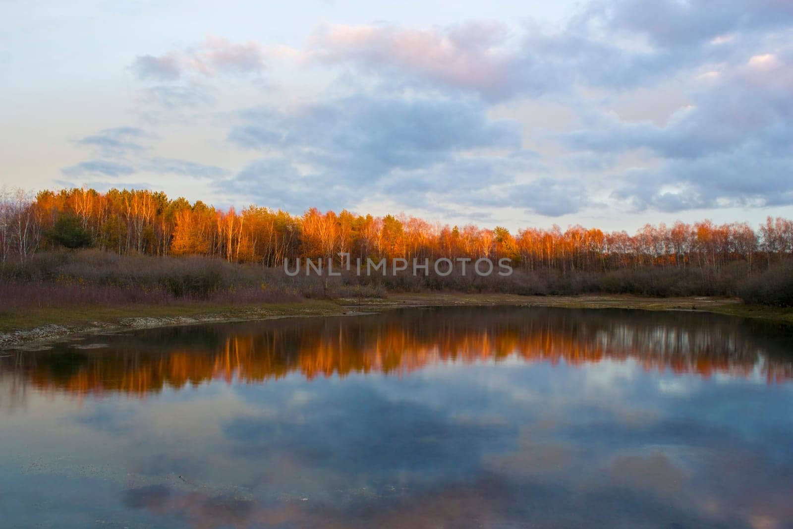 sunset in the National Park Maasduinen in the Netherlands