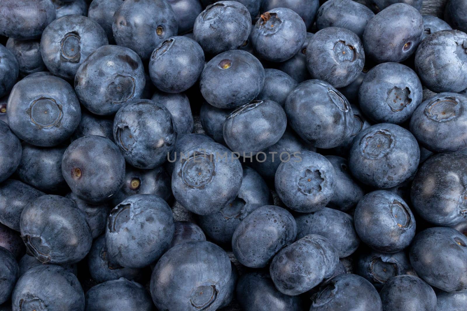 Fresh blueberry summer juicy fruits for a healthy diet. Organic blueberries for a healthy food and life concept.