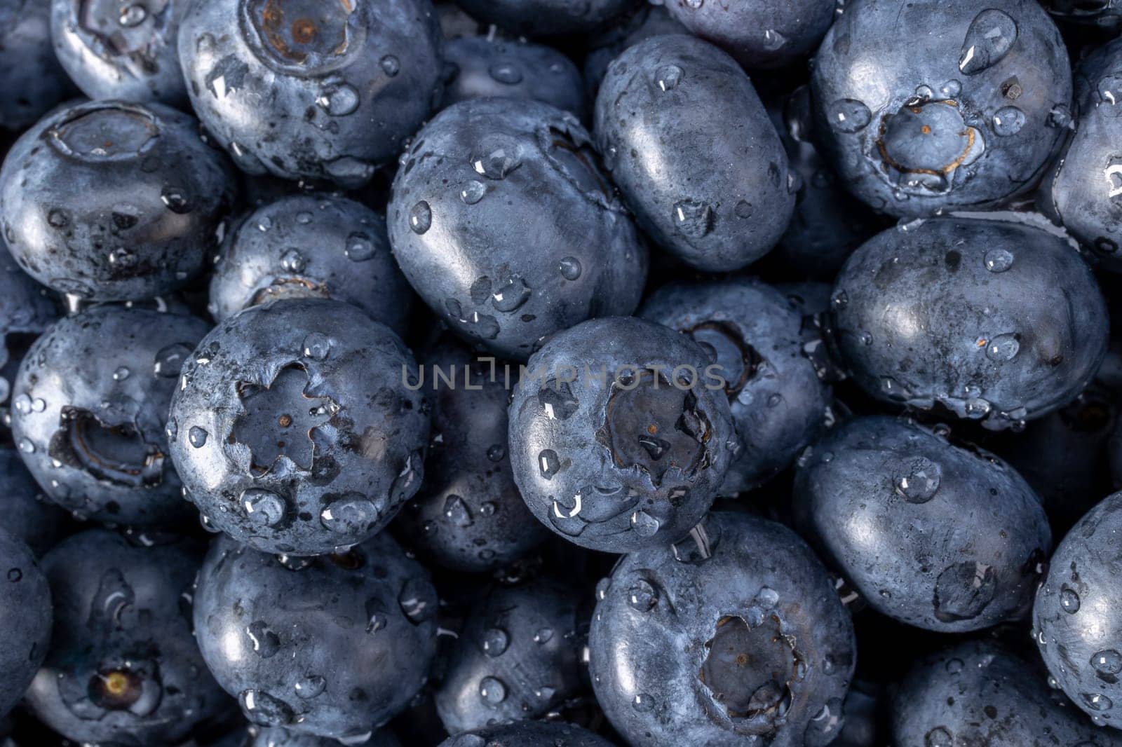 Fresh blueberry summer juicy fruits for a healthy diet. Organic blueberries for a healthy food and life concept.