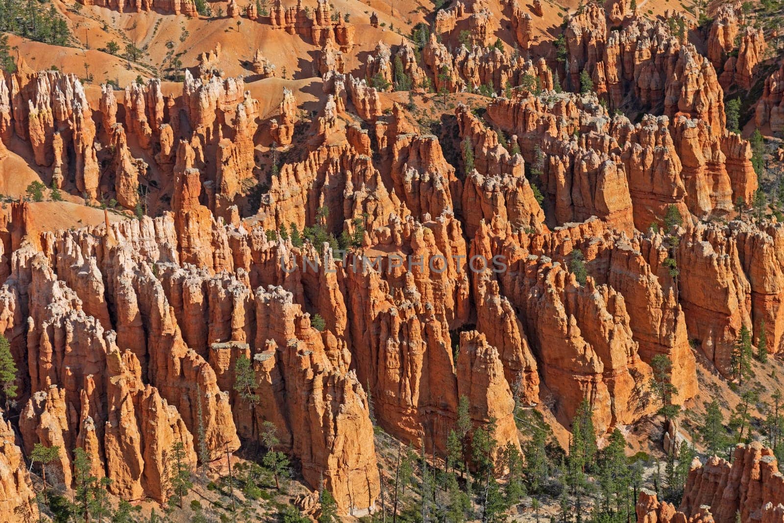 Hoodoo Details in a Western Canyon in Bryce Canyon National Park in Utah