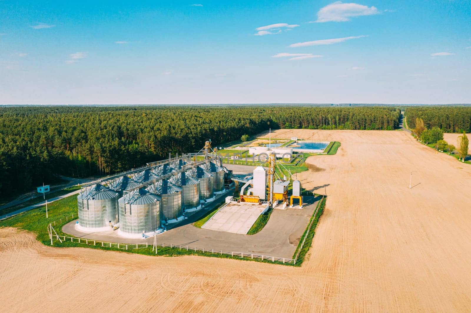 Aerial View Modern Granary, Grain-drying Complex, Commercial Grain Or Seed Silos In Sunny Spring Rural Landscape. Corn Dryer Silos, Inland Grain Terminal, Grain Elevators Standing In A Field.