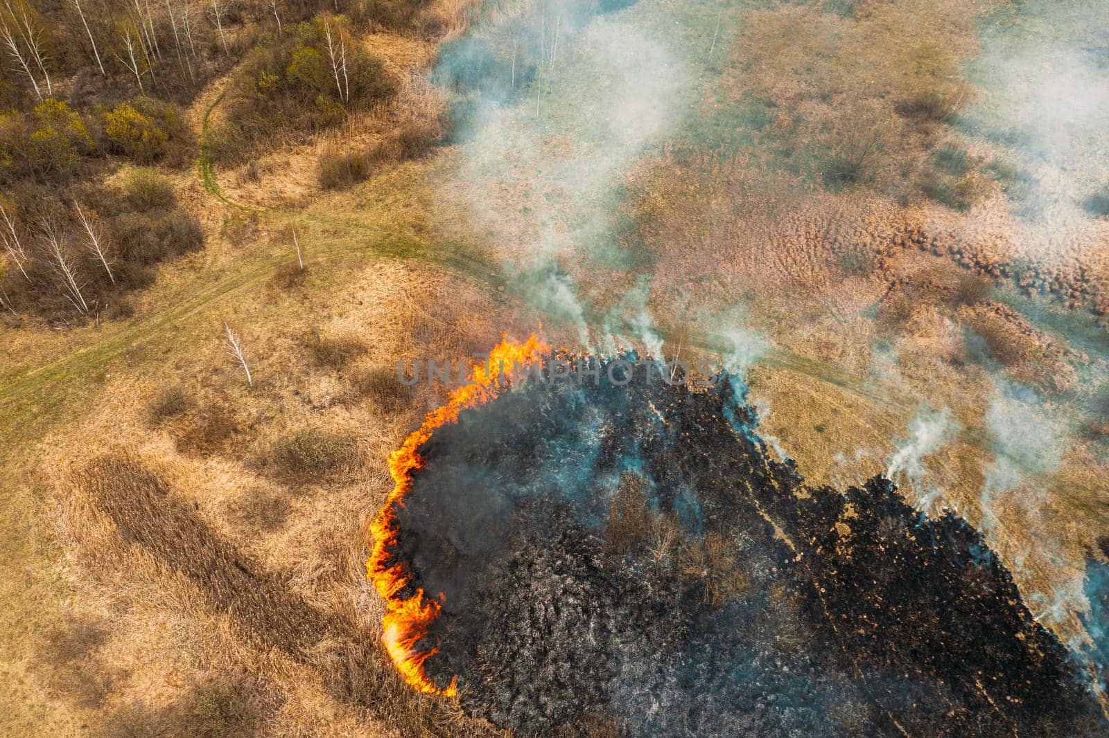 Aerial View. Spring Dry Grass Burns During Drought Hot Weather. Bush Fire And Smoke In Meadow Field. Wild Open Fire Destroys Grass. Nature In Danger. Ecological Problem Air Pollution. Natural Disaster