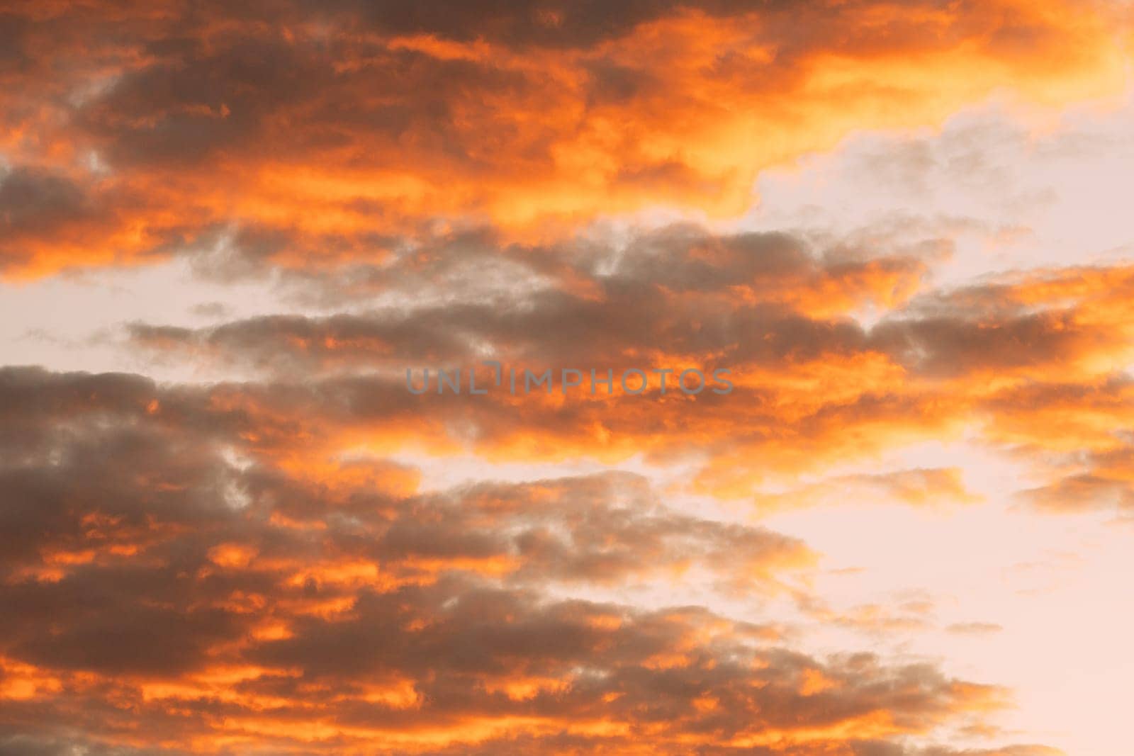 Sunrise Bright Dramatic Sky. Scenic Colorful Sky At Dawn. Sunset Sky Natural Abstract Background In Red Orange Colors