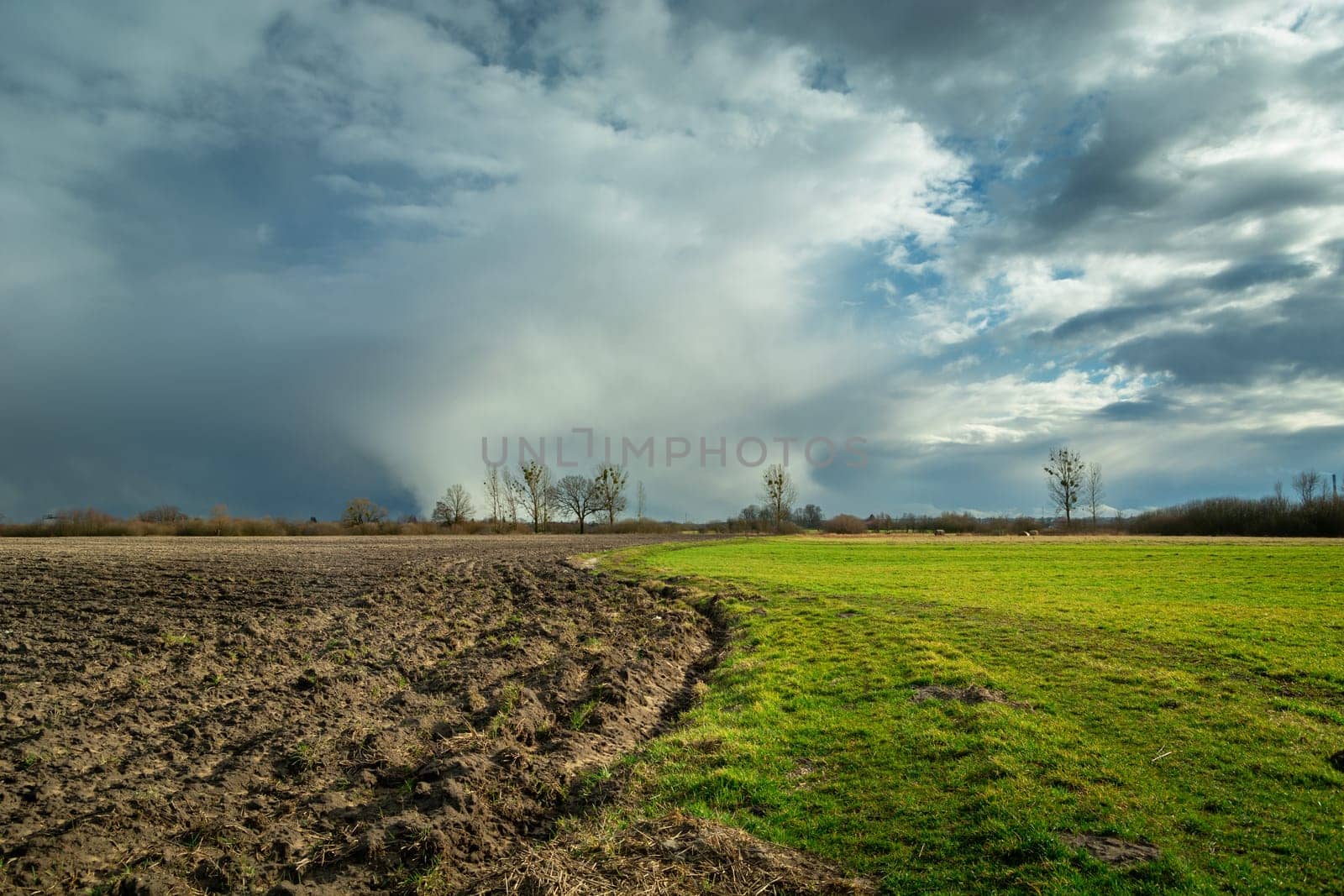 Rural landscape with a plowed field and a meadow with a cloudy sky, Nowiny, Poland