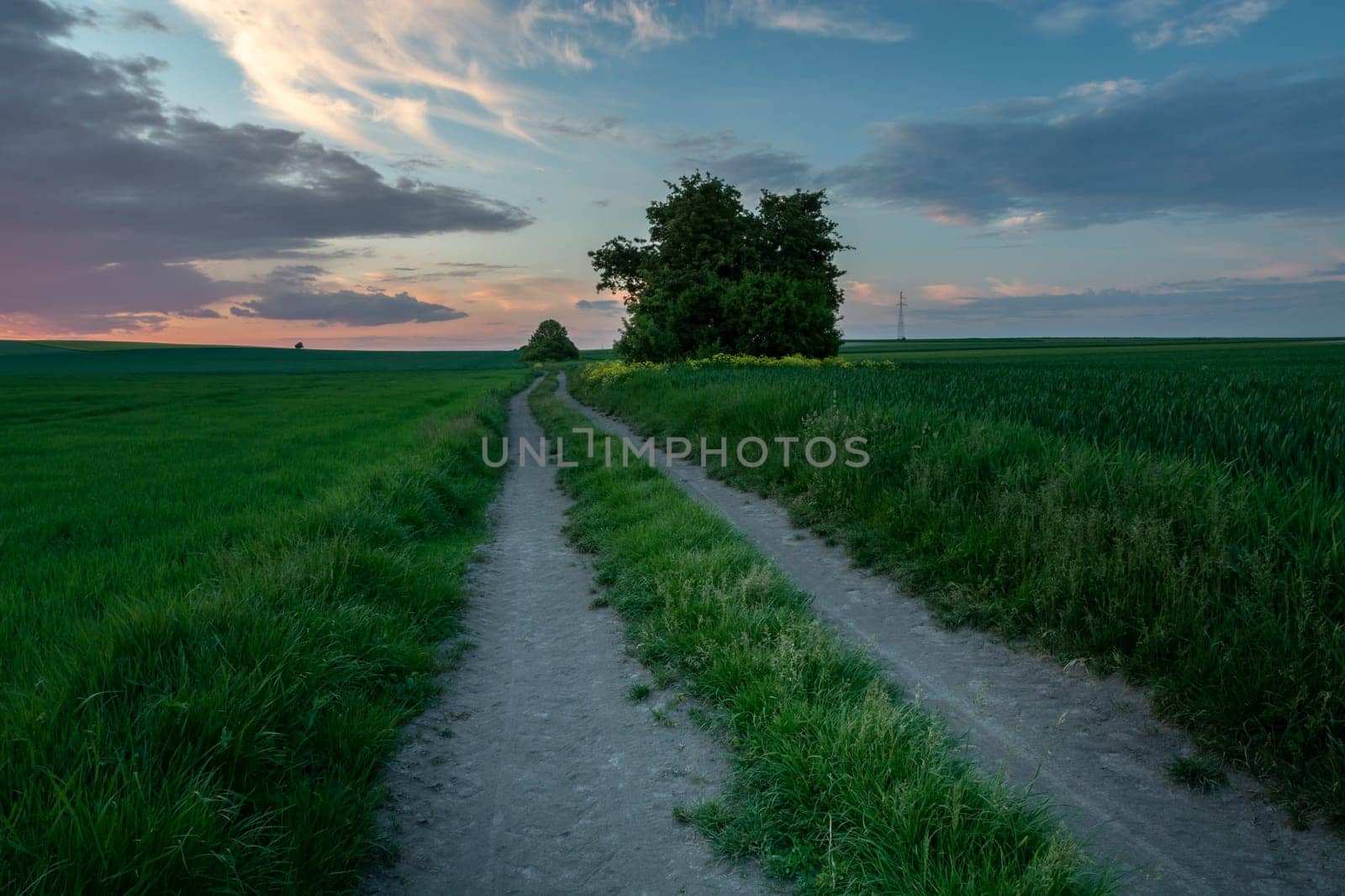 Rural road through green fields and the sky after sunset, Staw, Poland