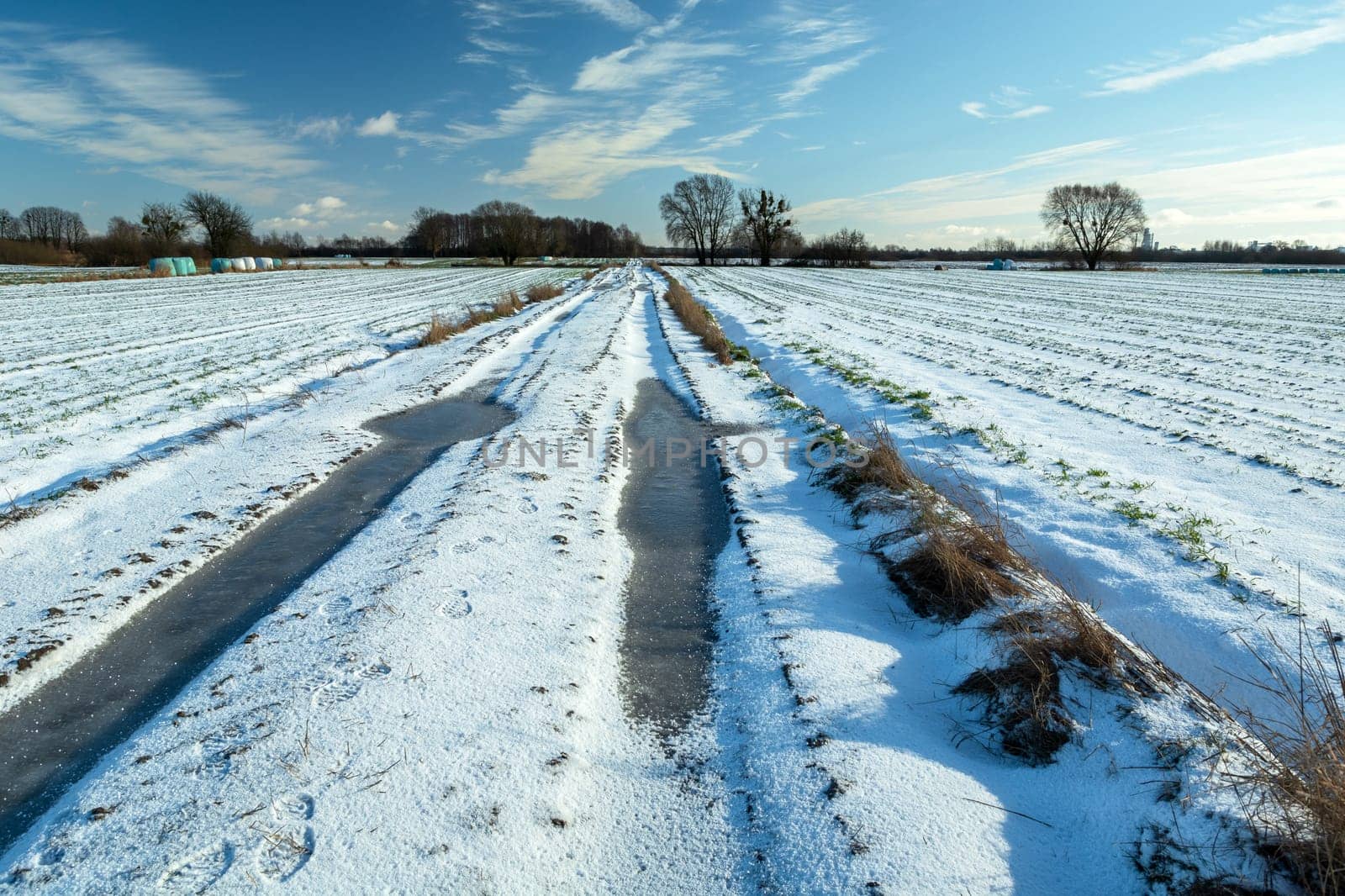Winter landscape with a road in the field, Nowiny, Poland