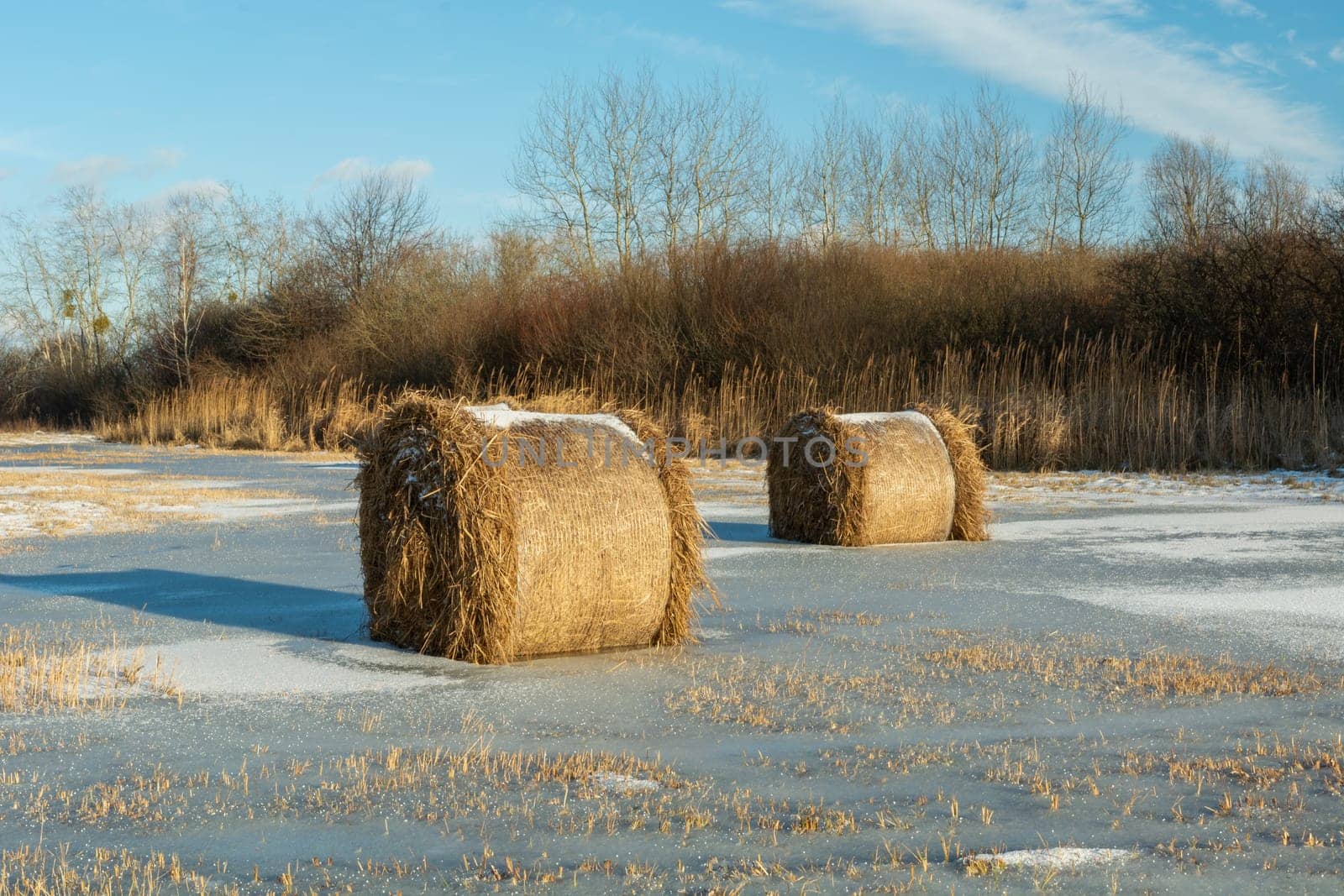 Hay bales in the frozen water in the meadow, Nowiny, Poland