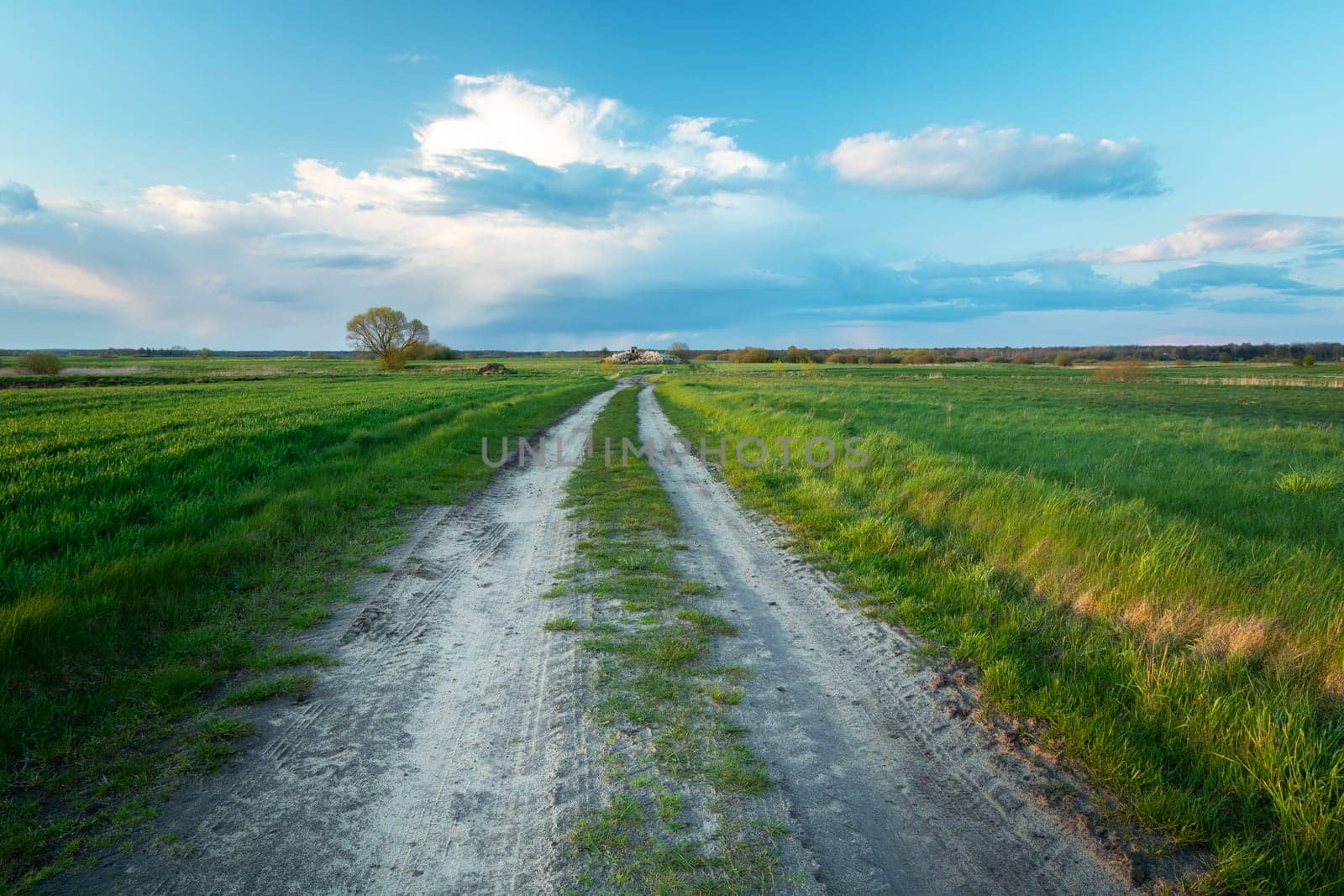 Dirt road through green fields and clouds above the horizon, spring day