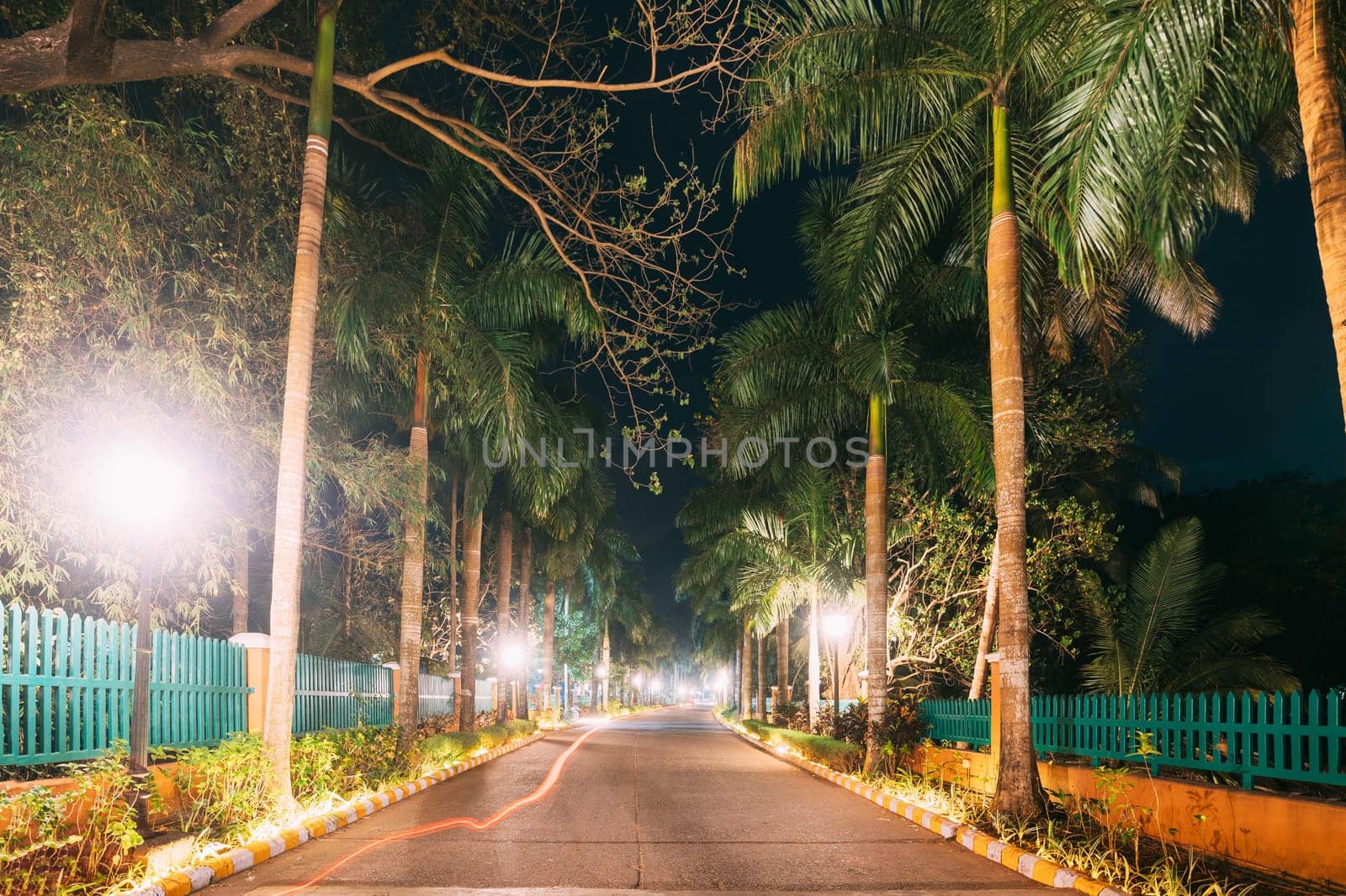 Goa, India. View Of Walkway With Palm Tree In Evening Or Night Illuminations.