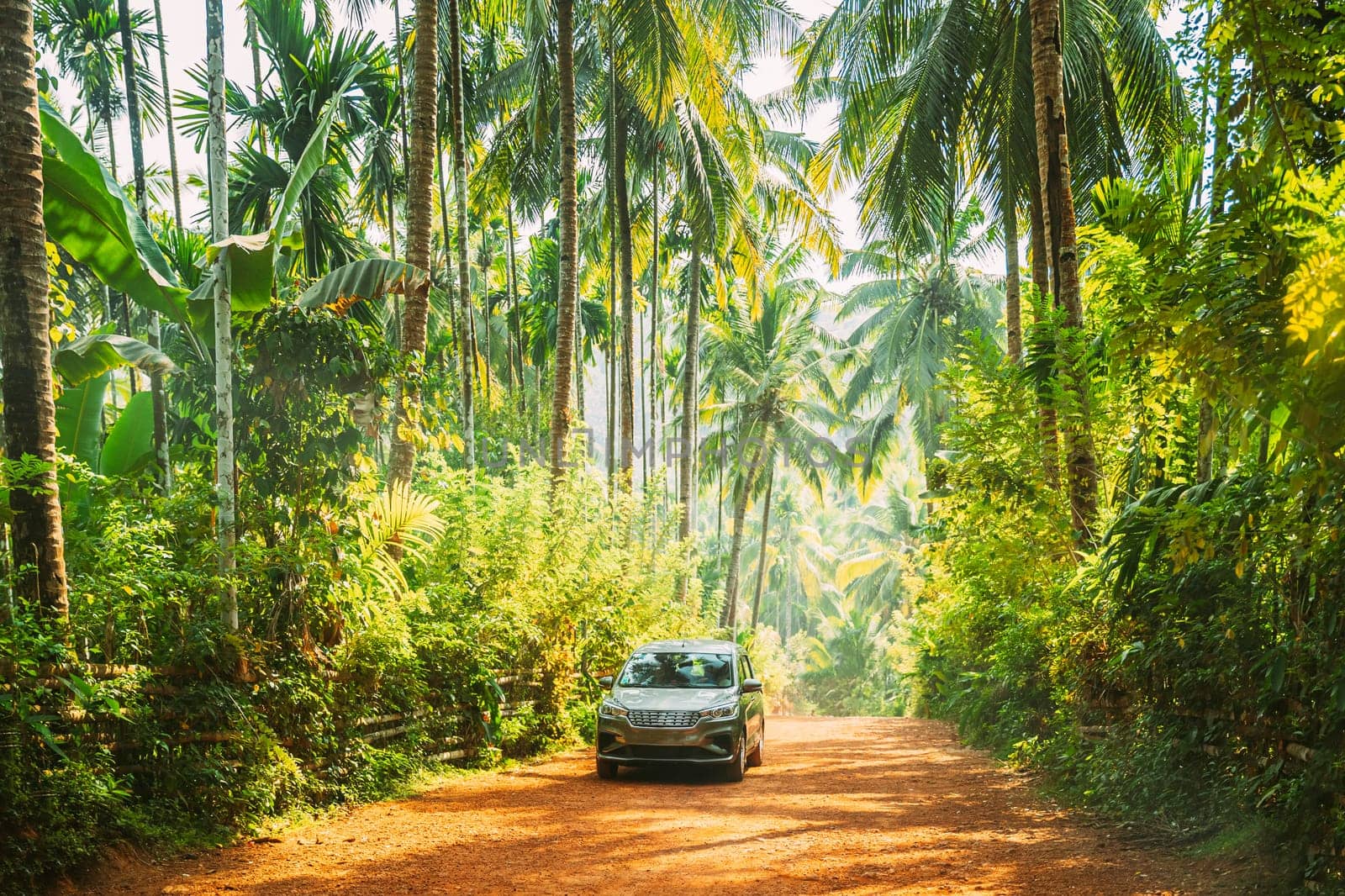 Goa, India. Car Moving On Road Surrounded By Palm Trees In Sunny Day.
