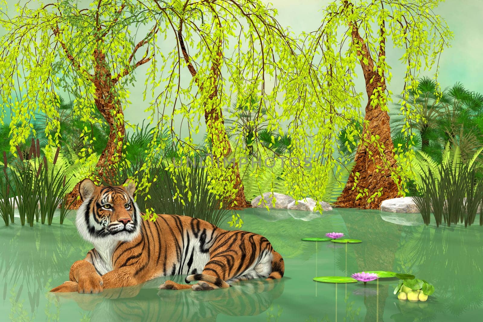 A Tiger lays in a wetland pond during the heat of the day.