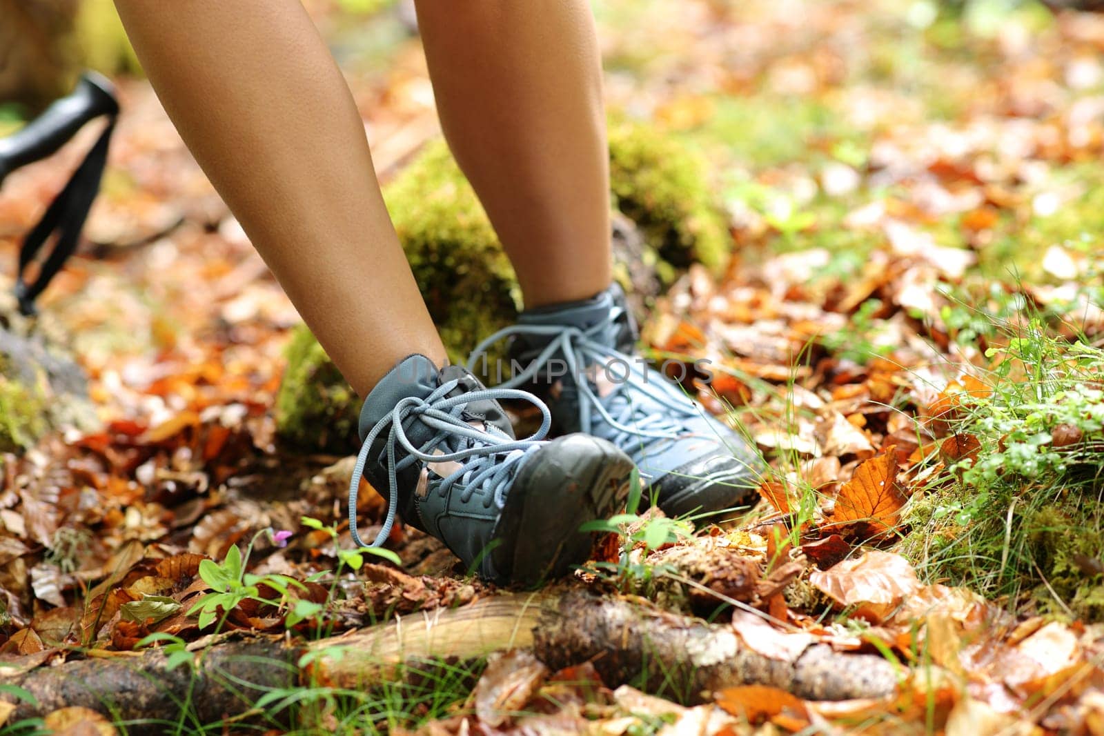 Close up portrait of a trekker stumbling suffering sprain on ankle in a forest