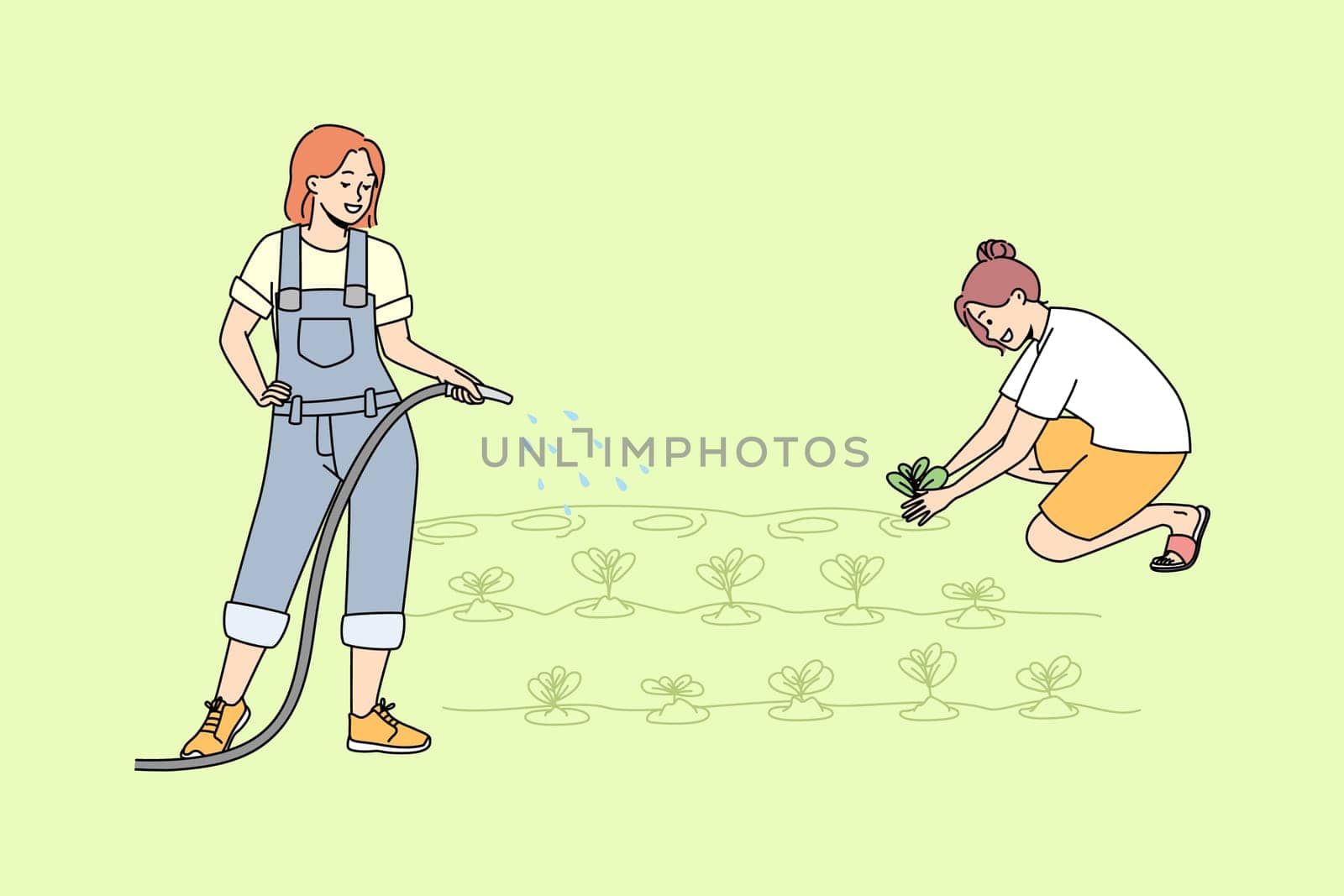 Young women working in garden watering plants together. Female cartoon characters involved in farming or agriculture at plantation. Vector illustration.