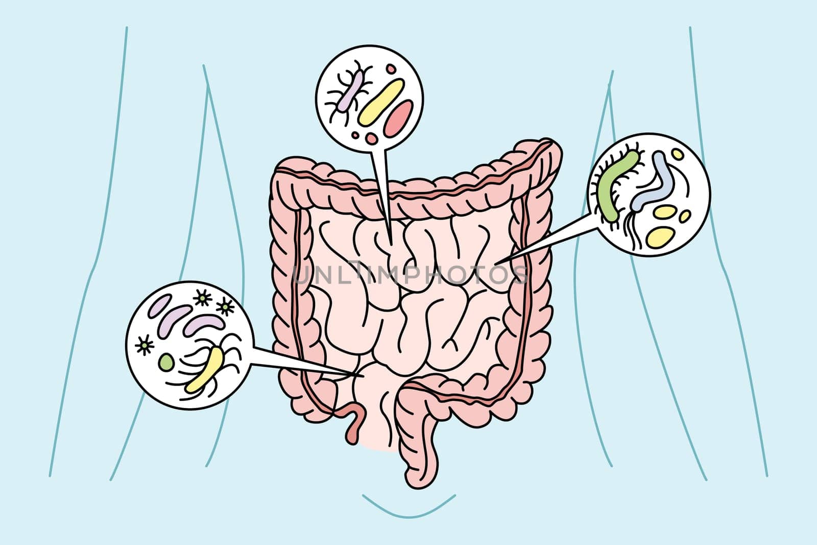 Digestive tract with bacteria inside. Person digestion organs intestines with virus. Healthcare and bowel. Vector illustration.