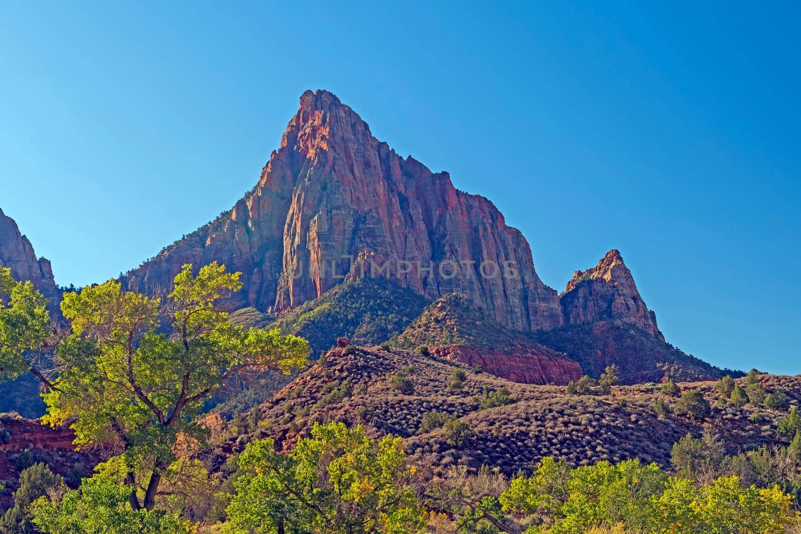 Sandstone Peak in Morning Shadows in Zion National Park in Utah