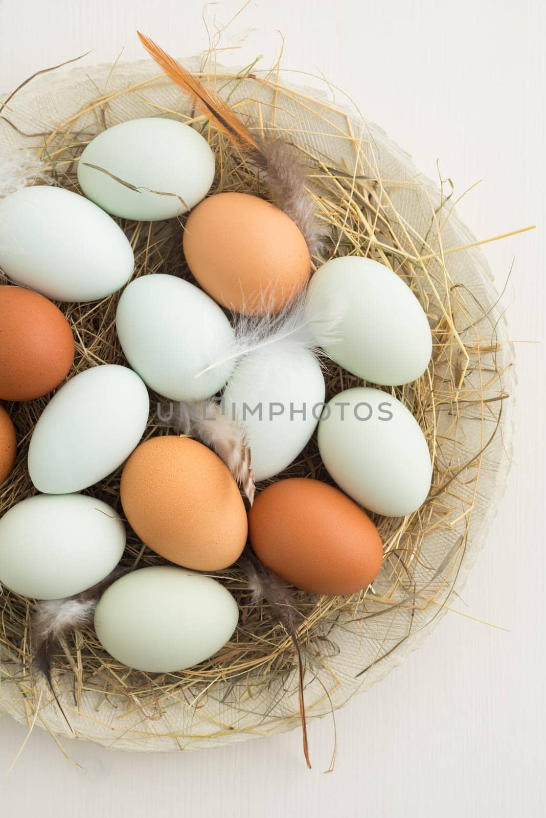 Chicken eggs and eggs from the green-leg chicken in the nest with feathers