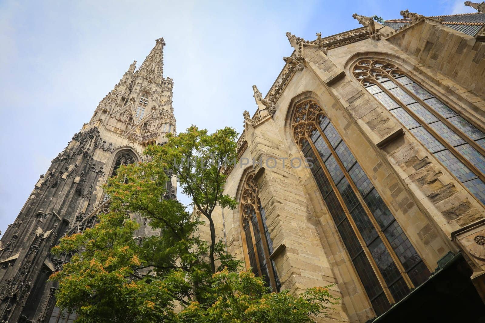 Photography of St. Stephans cathedral, Vienna, Austria