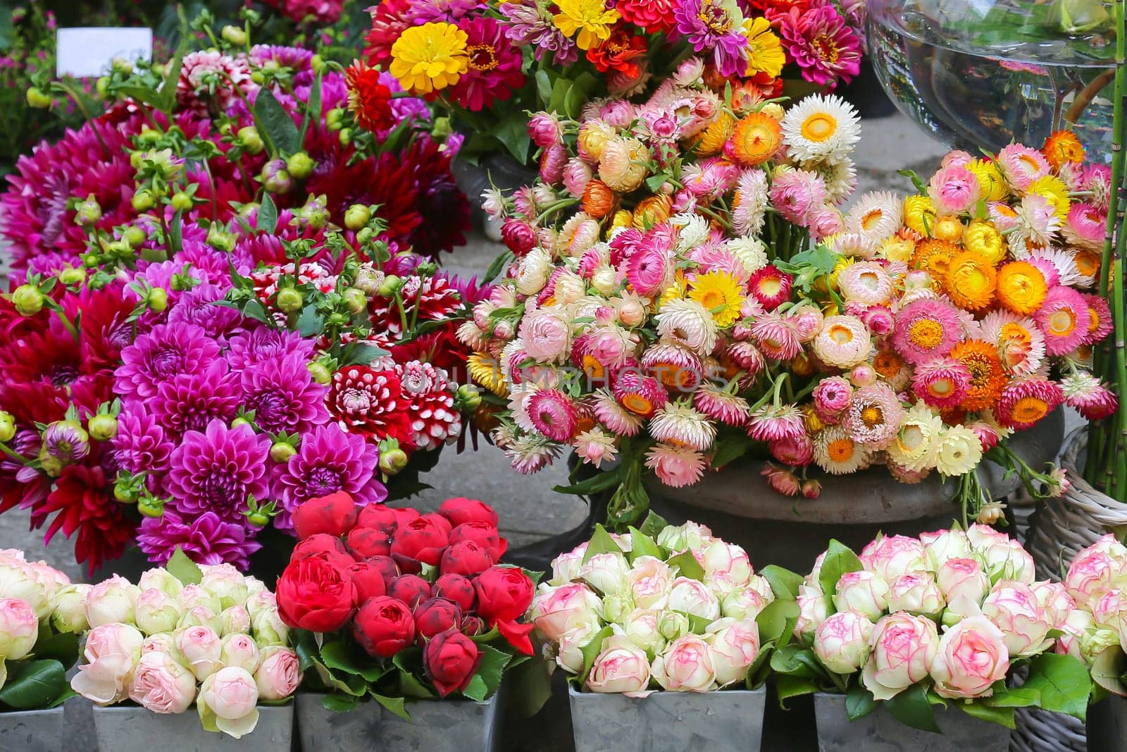 Mix of Potted flowers inside a garden center